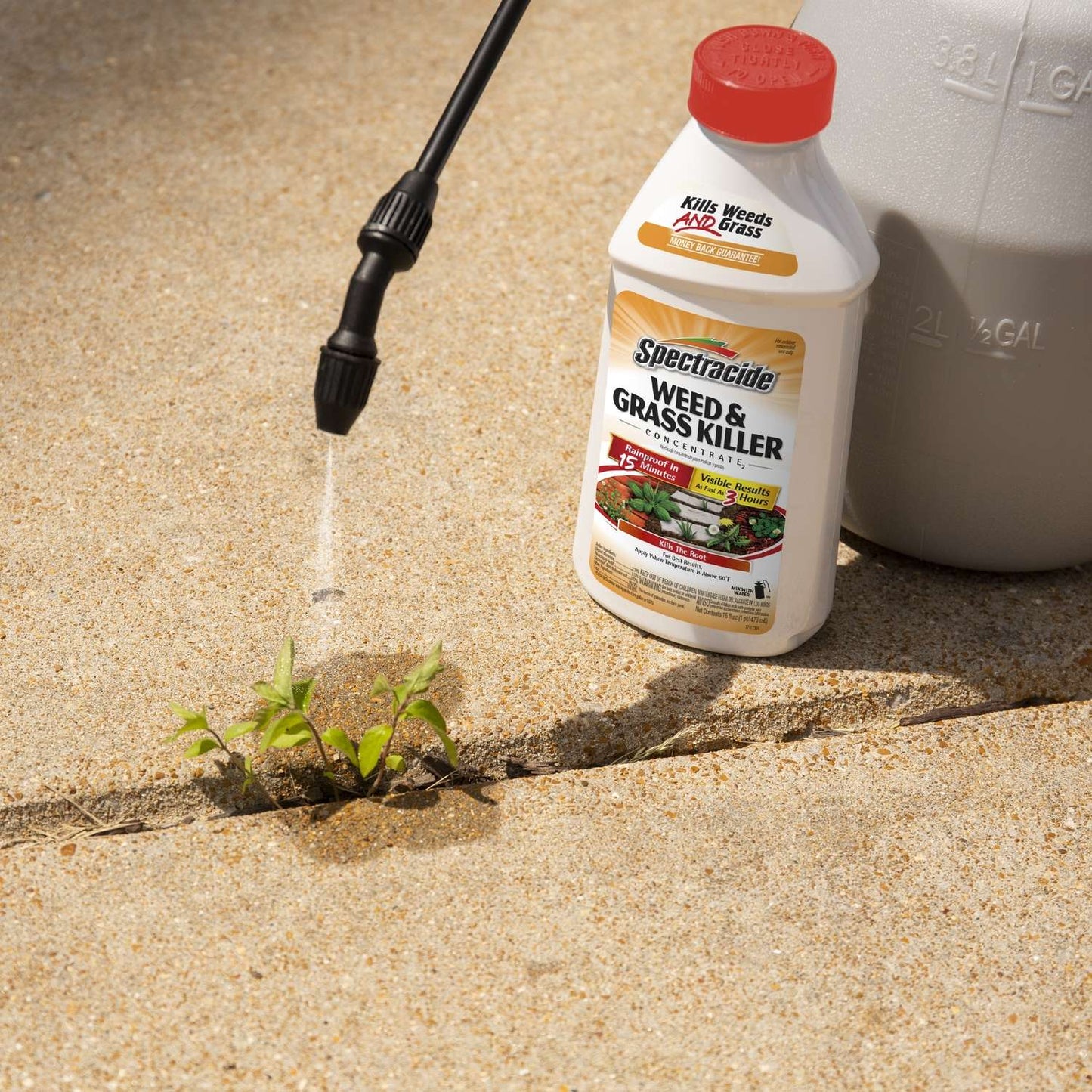  Spectracide Weed And Grass Killer Concentrate 16 Oz