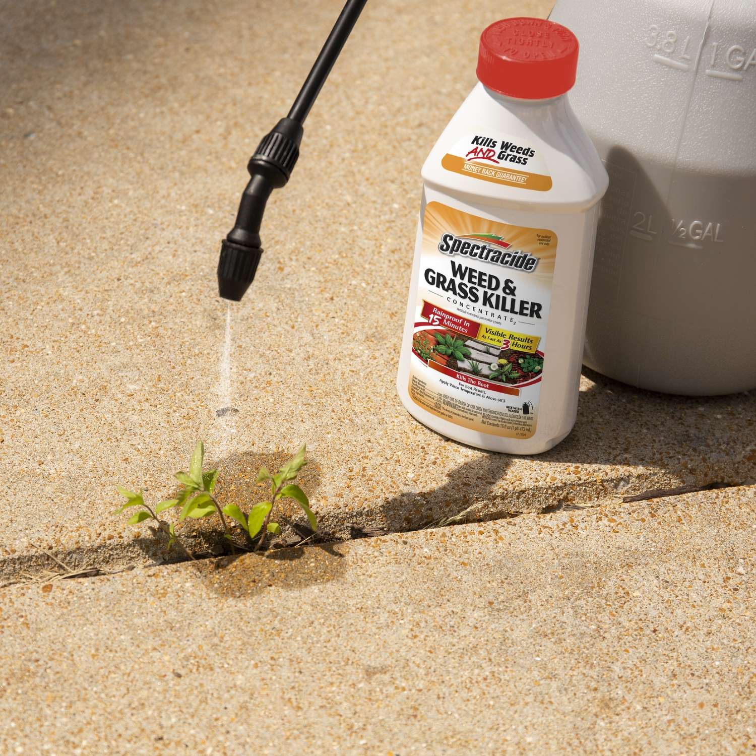  Spectracide Weed And Grass Killer Concentrate 16 Oz