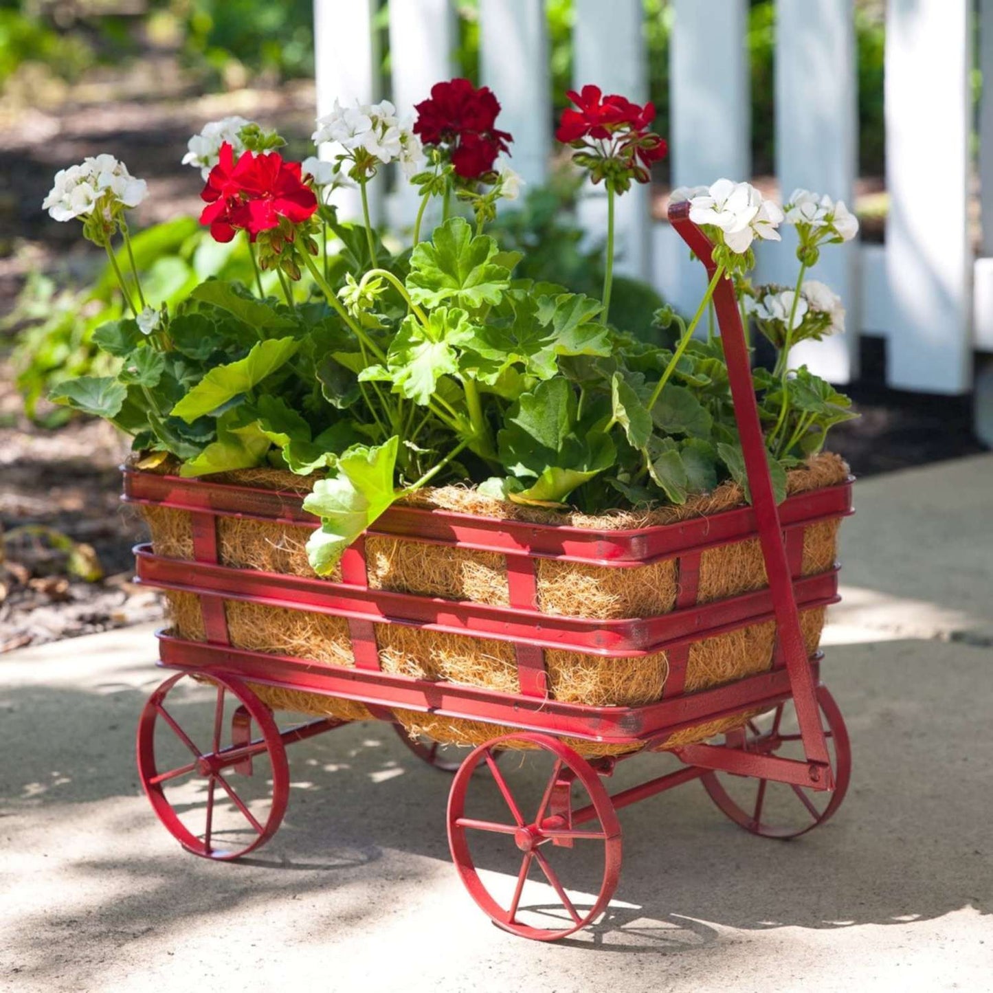  Panacea 14 In. W X 10 In. D Steel Industrial Wagon Planter Burnt Red