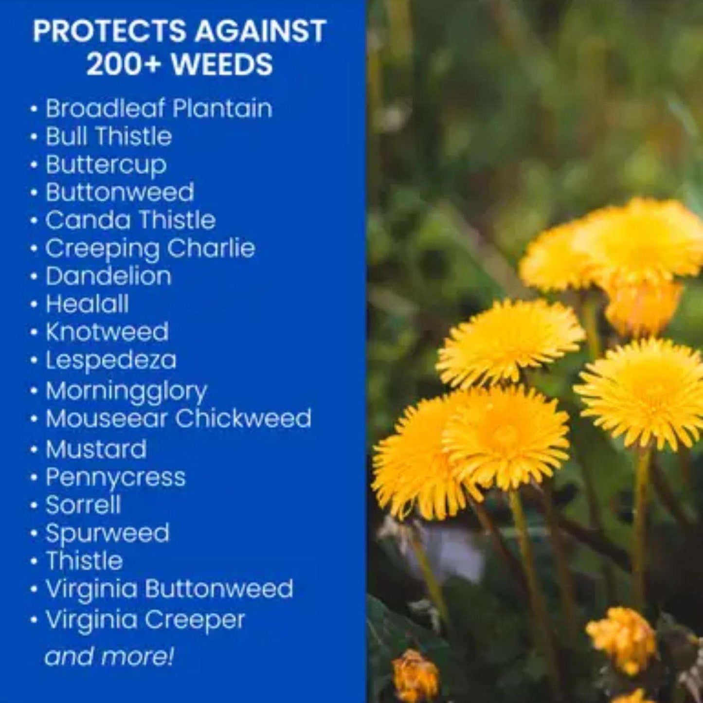  BioAdvanced Weed Killer Concentrate 29 Oz