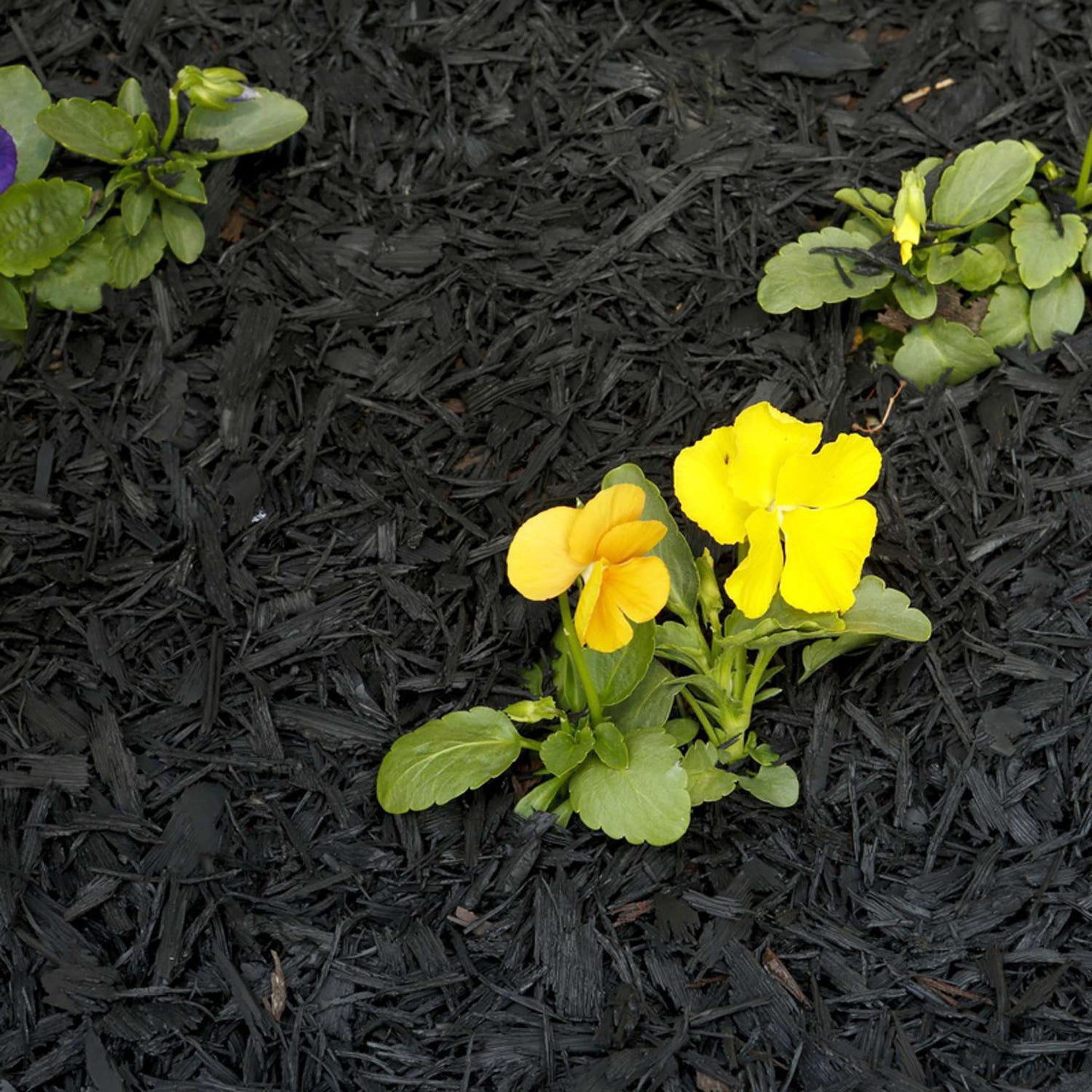  Rubberific Black Shredded Rubber Mulch 0.8 Cu Ft