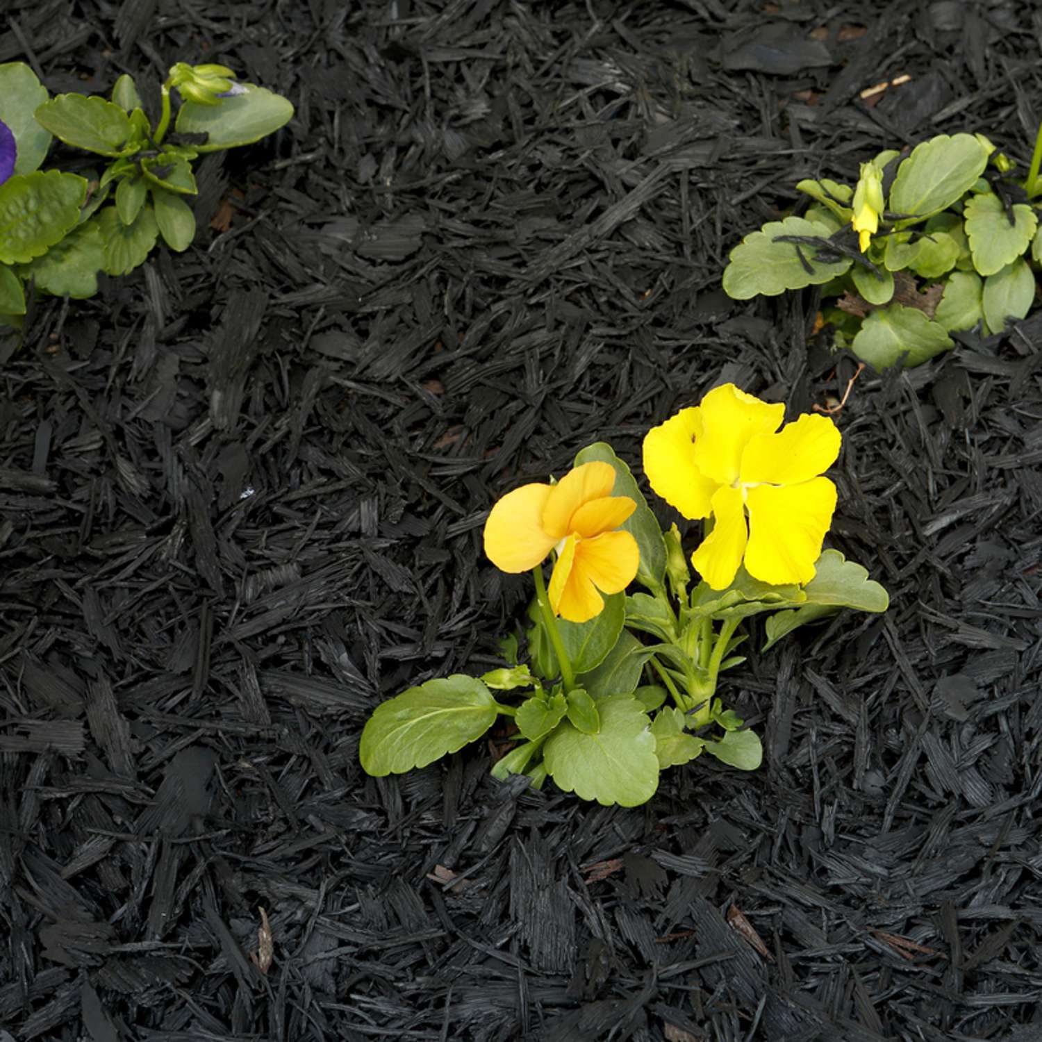  Rubberific Black Shredded Rubber Mulch 0.8 Cu Ft