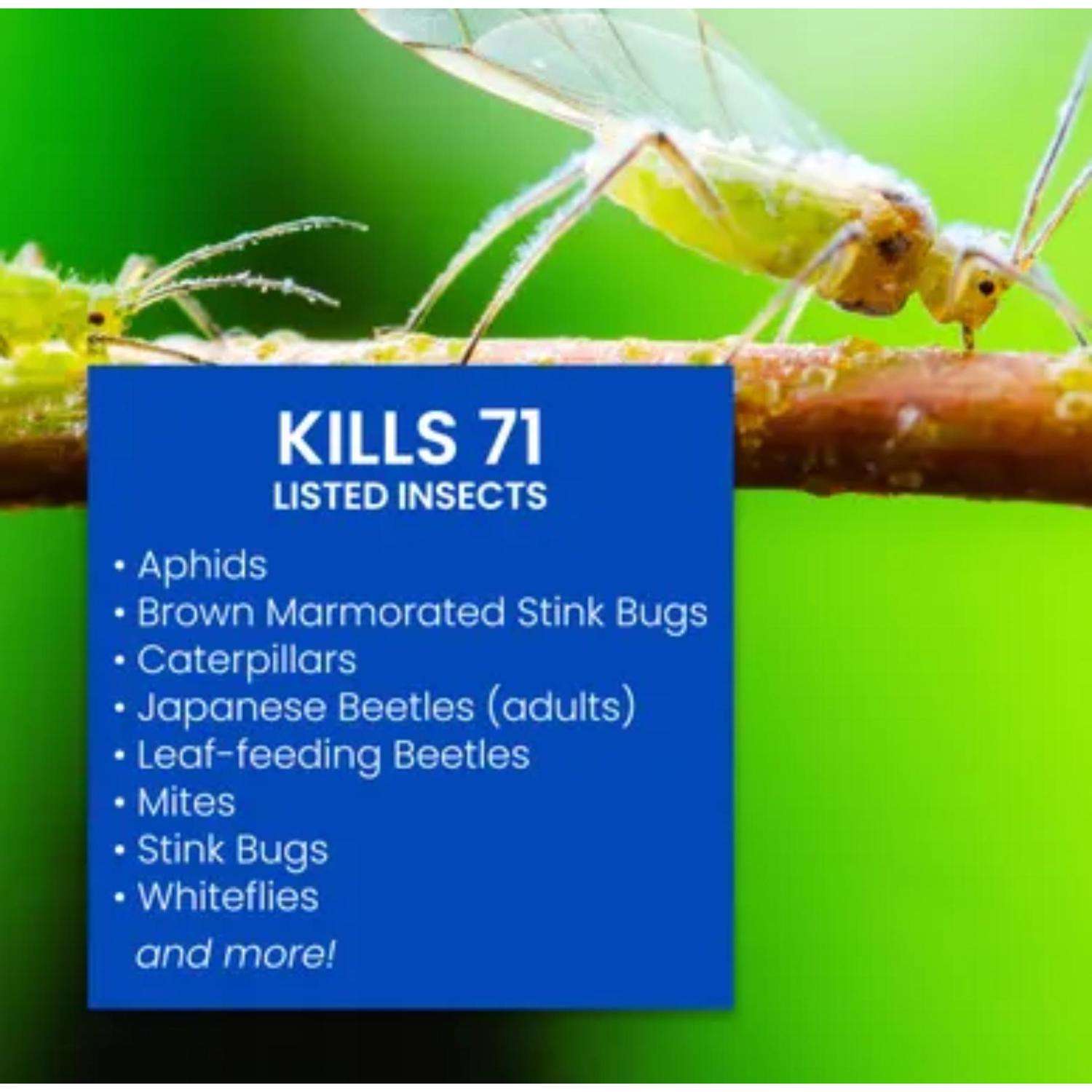  BioAdvanced Insect Killer Liquid 32 Oz