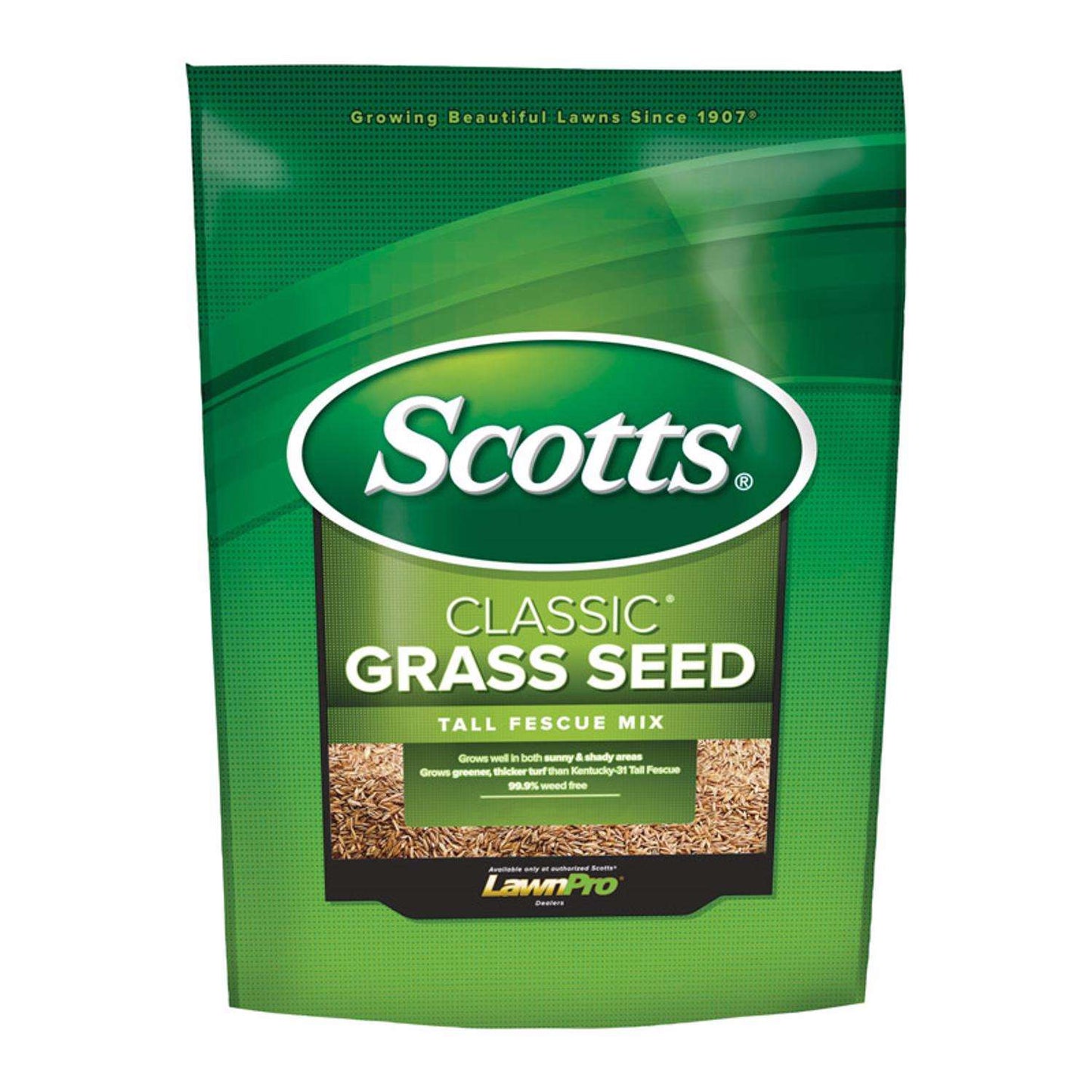  Scotts Classic Tall Fescue Grass Sun Or Shade Grass Seed 3 Lb
