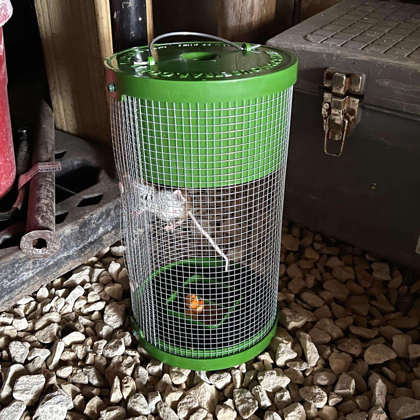  Billy Bob Multiple Catch Cage Trap For Mice 1 Pk