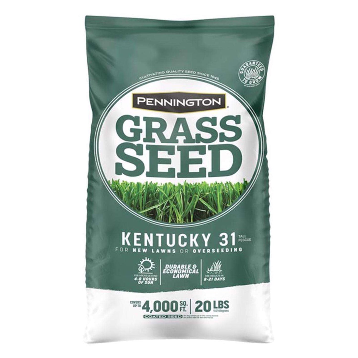 Pennington Kentucky 31 Tall Fescue Grass Sun Or Shade Grass Seed 20 Lb