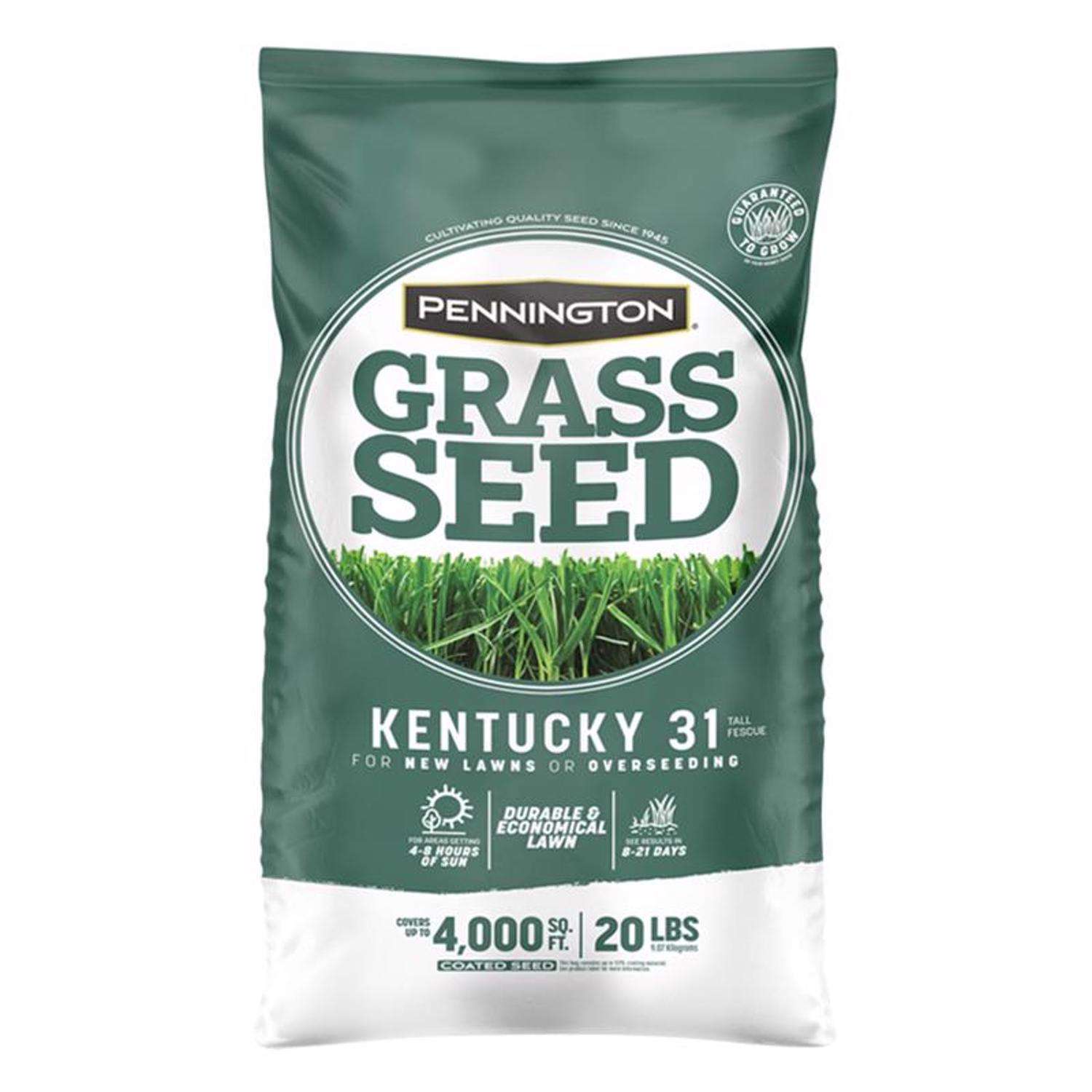  Pennington Kentucky 31 Tall Fescue Grass Sun Or Shade Grass Seed 20 Lb