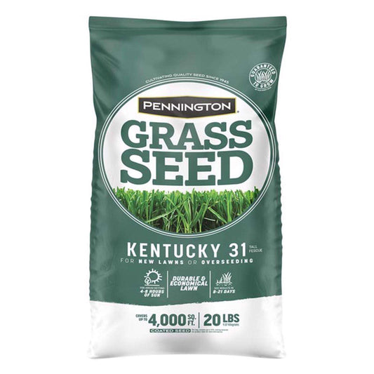  Pennington Kentucky 31 Tall Fescue Grass Sun Or Shade Grass Seed 20 Lb