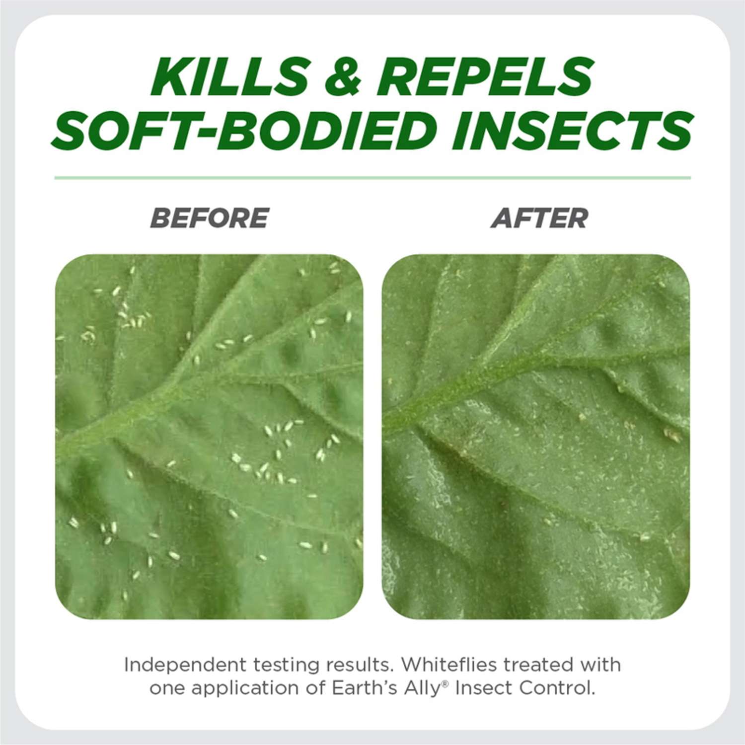  Earth's Ally Organic Insect Control Liquid 24 Oz