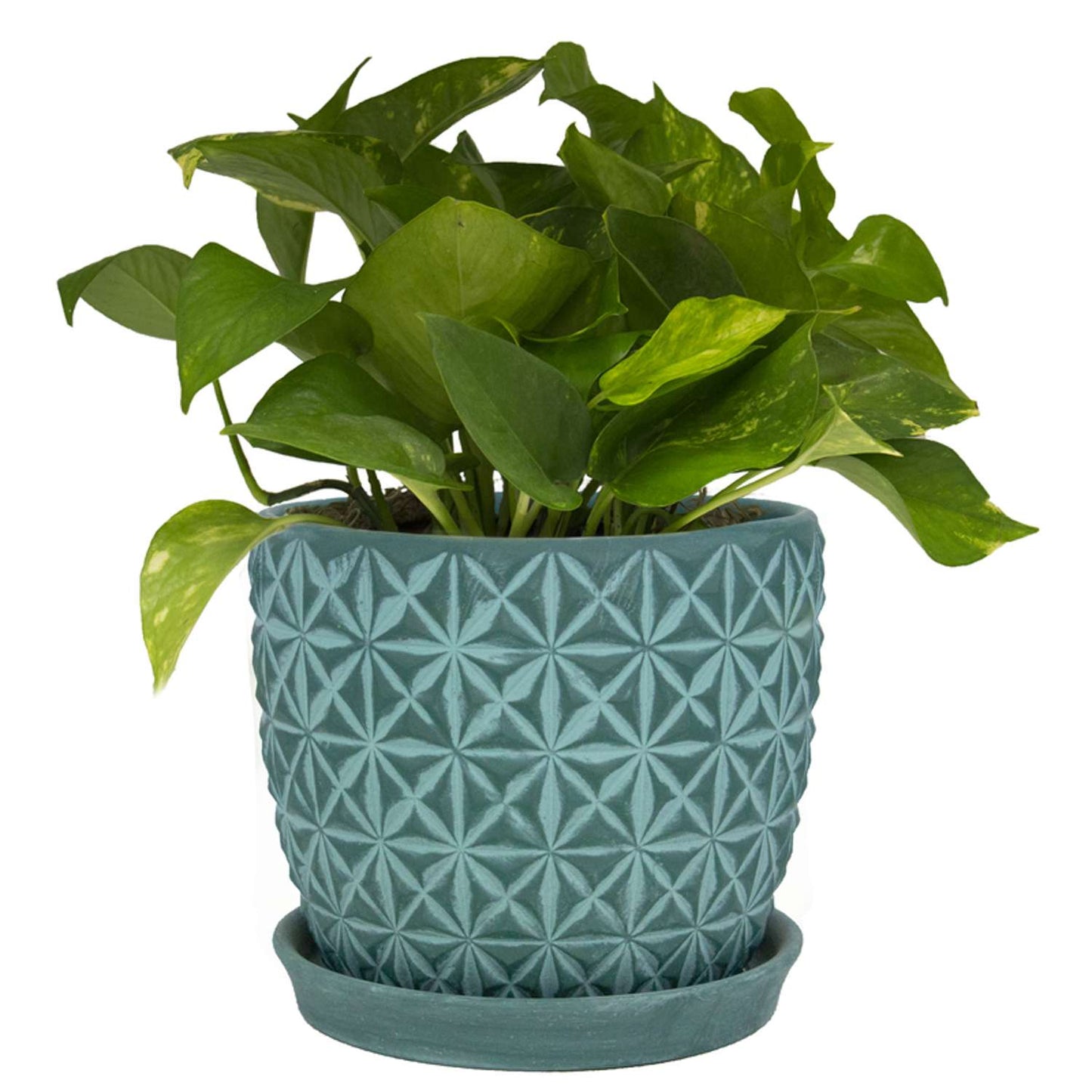 Trendspot Tribeca 7.3 In. H X 8.3 In. W X 8.3 In. D X 8 In. D Ceramic Planter Teal