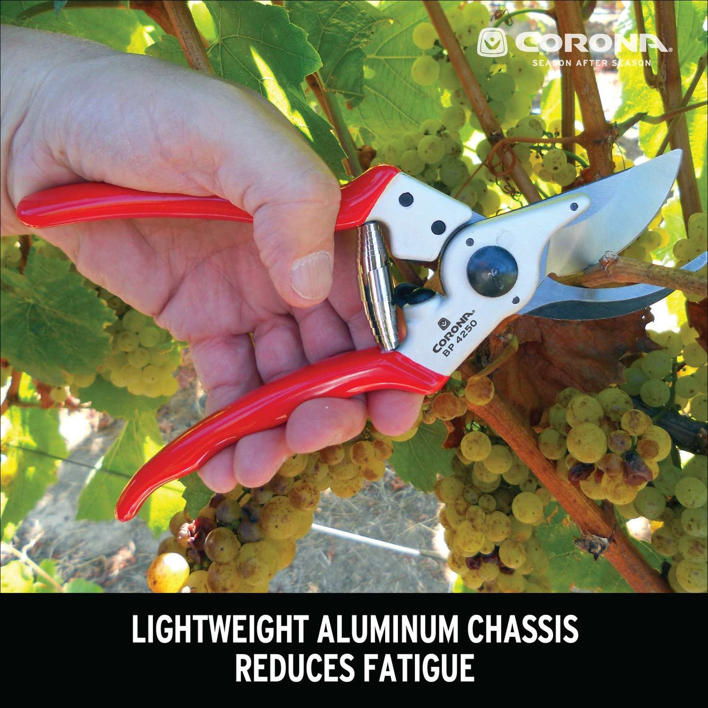  Corona Carbon Steel Bypass Pruners