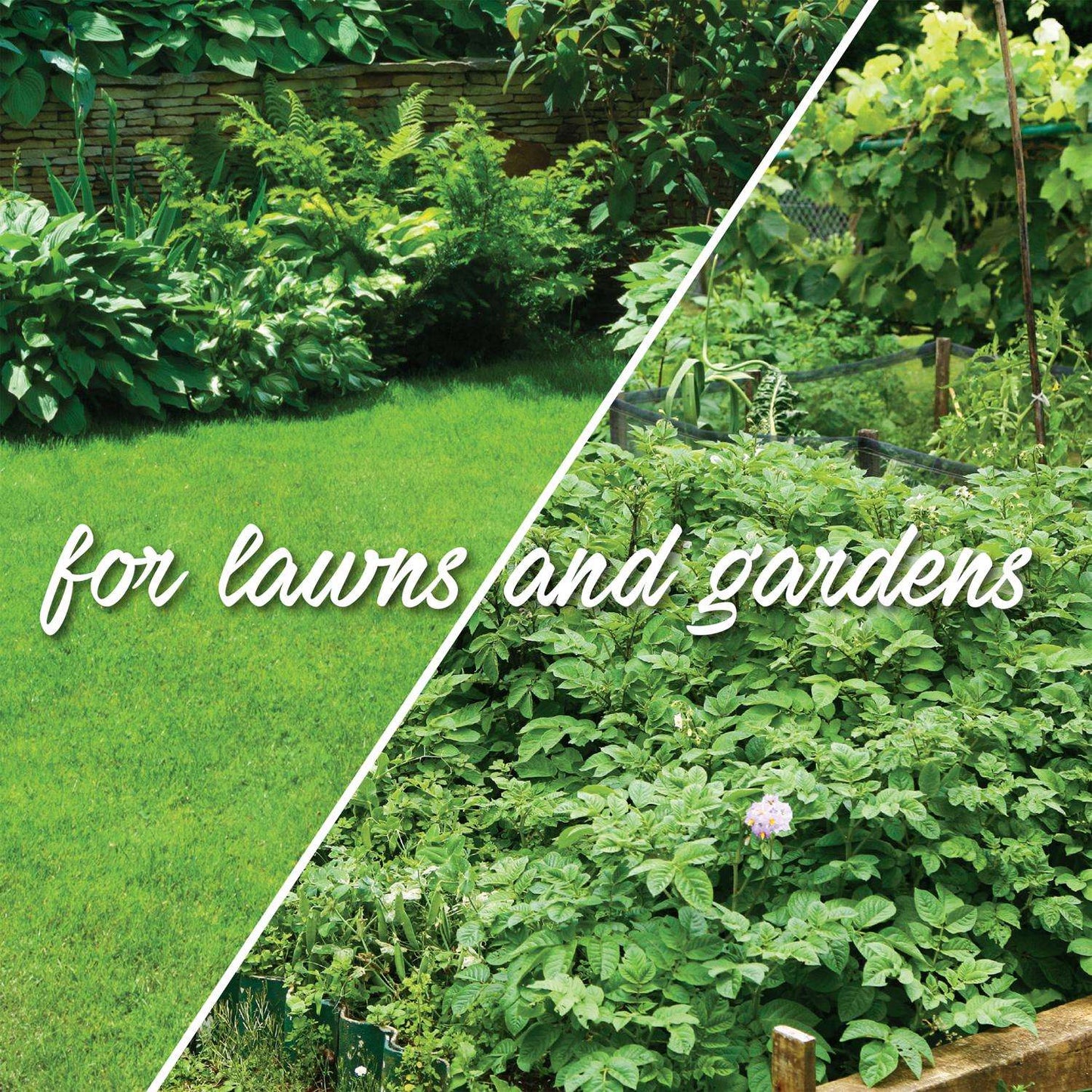  Dr. Earth Nitrogen Slow-Release Nitrogen Lawn Fertilizer For All Grasses 2000 Sq Ft