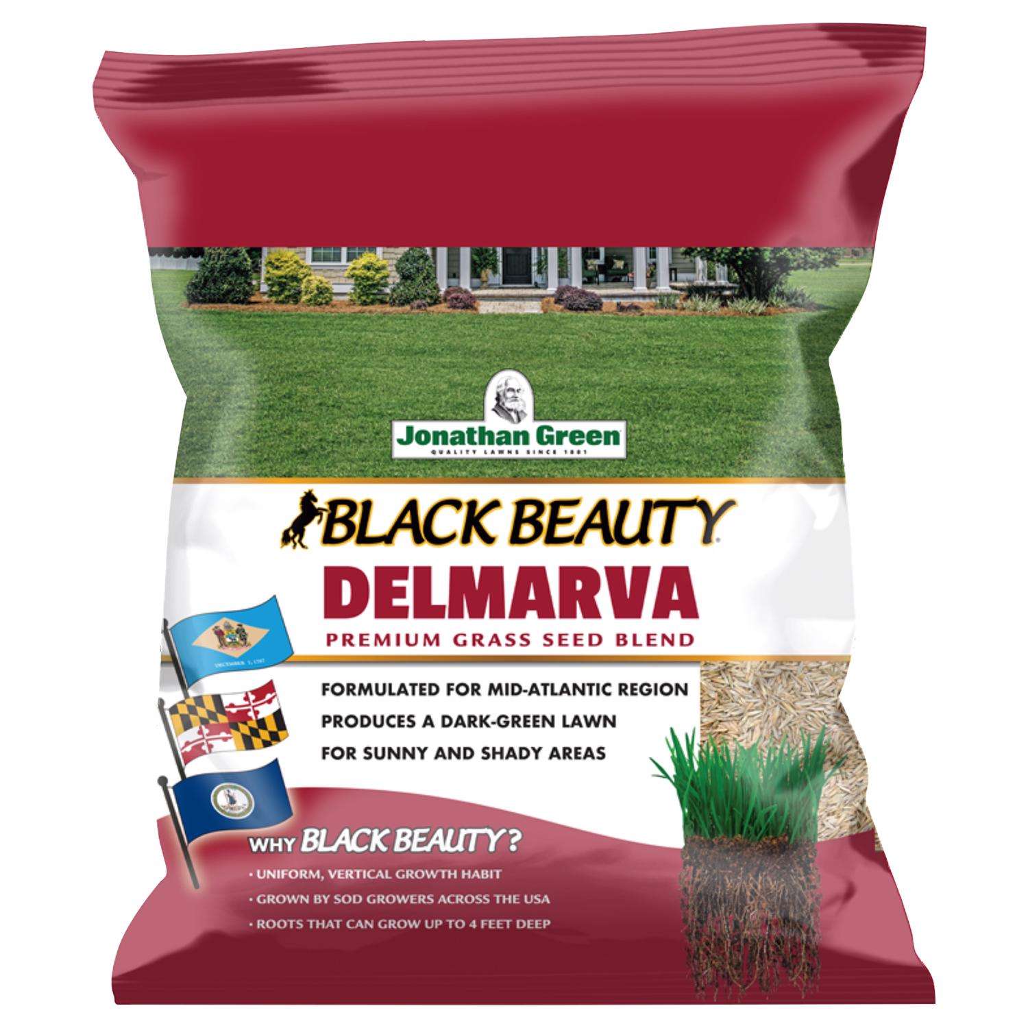  Jonathan Green Black Beauty Delmarva Mixed Sun Or Shade Grass Seed 7 Lb