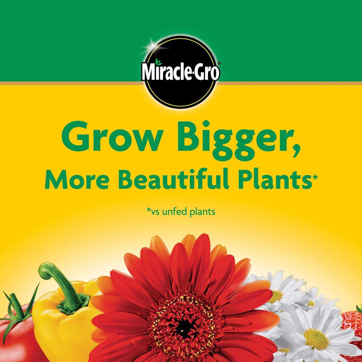  Miracle-Gro Granules All Purpose Plant Food 5.5 Lb