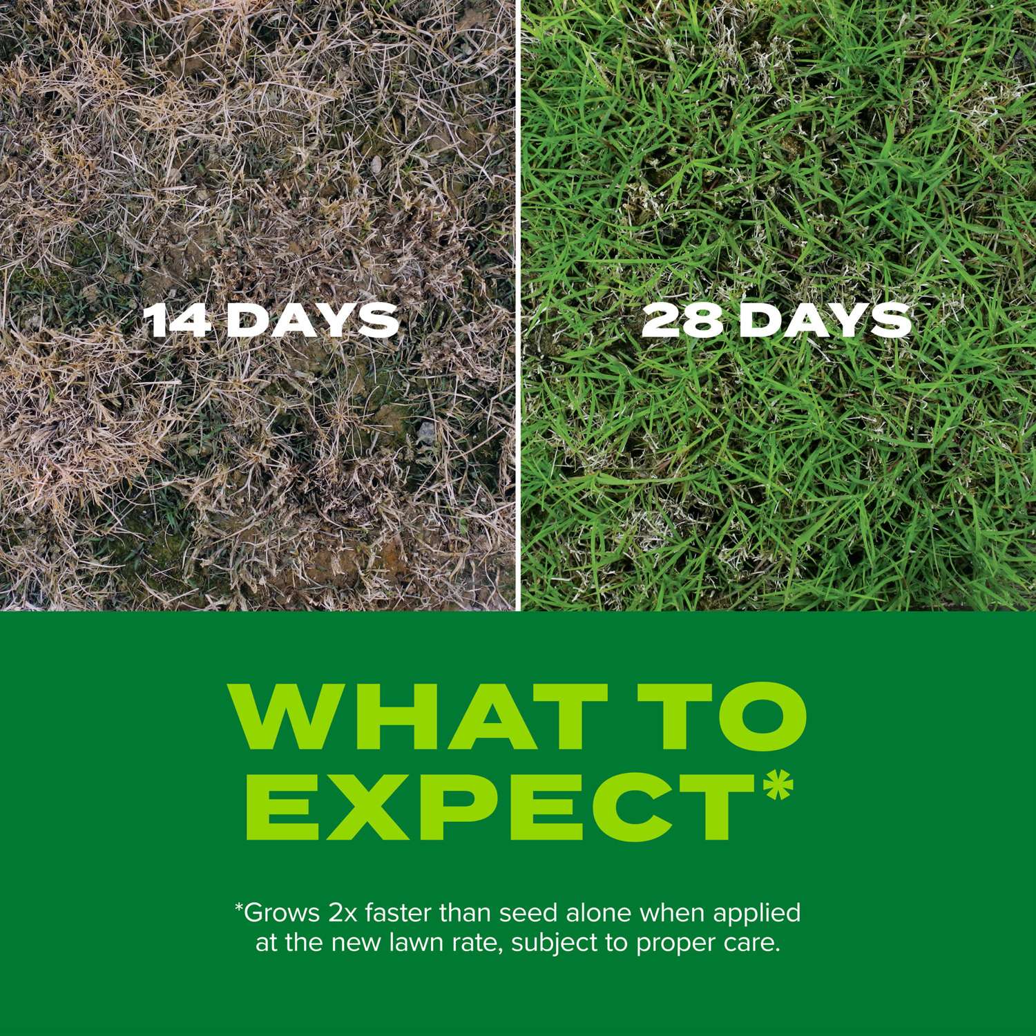  Scotts Turf Builder Rapid Grass Bermuda Grass Sun Or Shade Grass Seed And Fertilizer 8 Lb