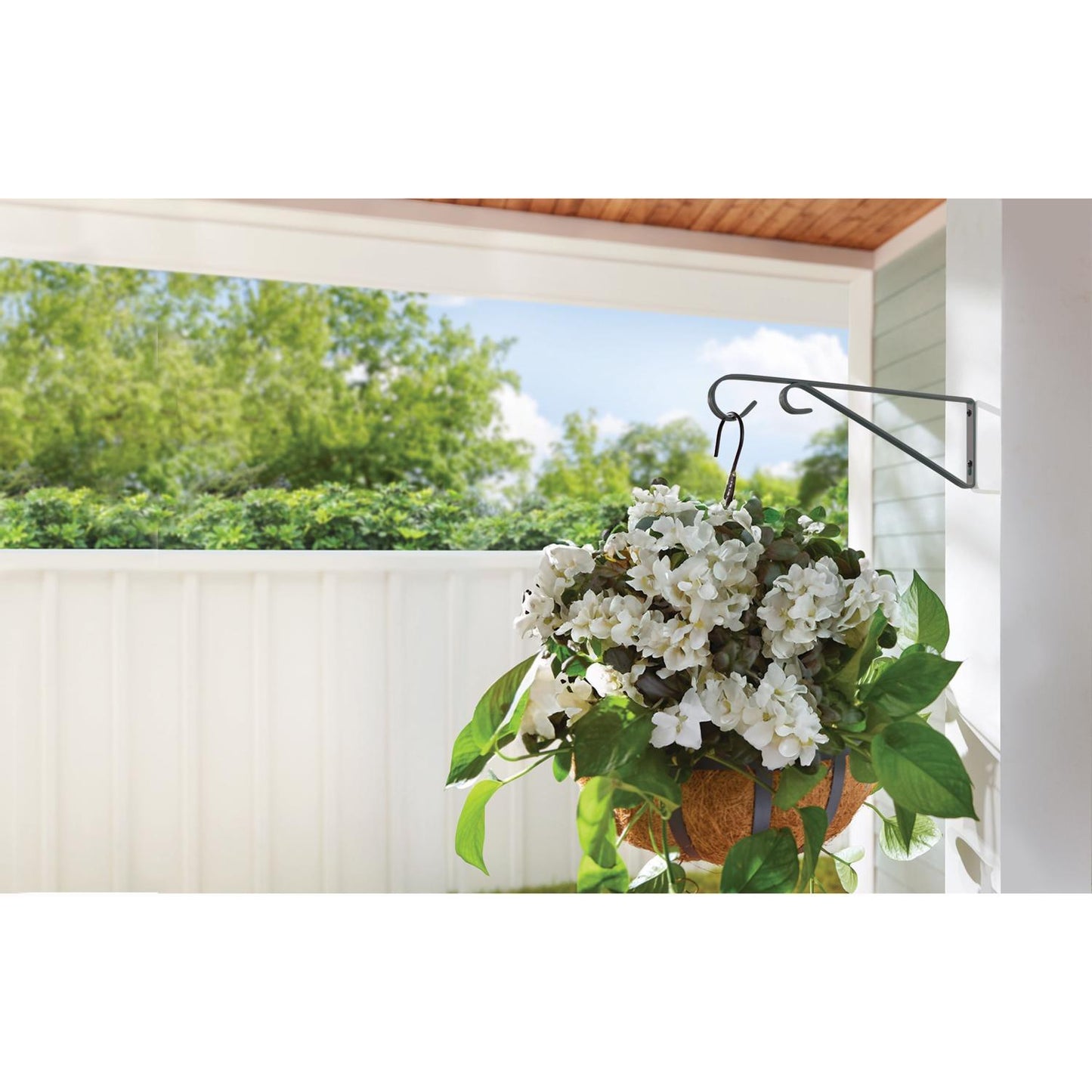  Living Accents Black Steel 9 In. H Straight With Loop Plant Hook 1 Pk