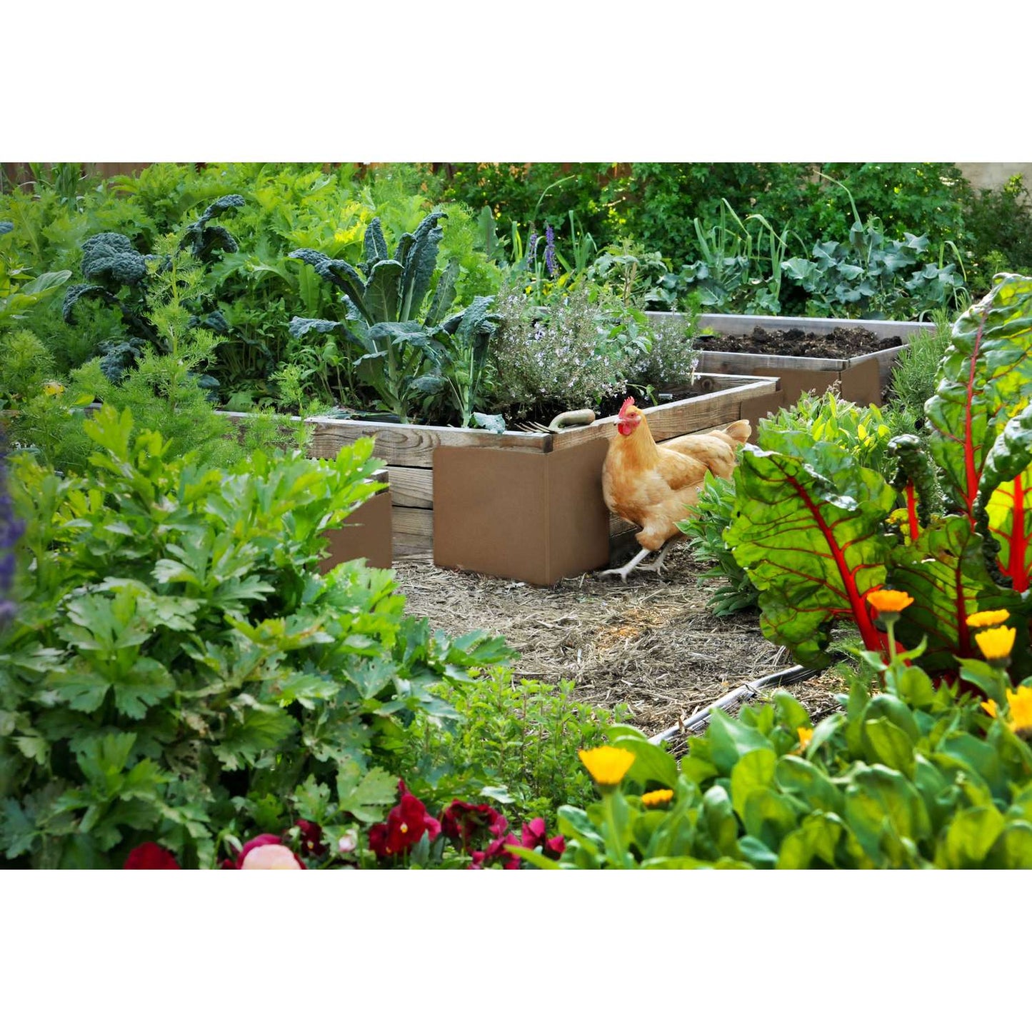  Bond InstaBrace 10 In. H X 9 In. W Brown Metal Raised Bed Brace