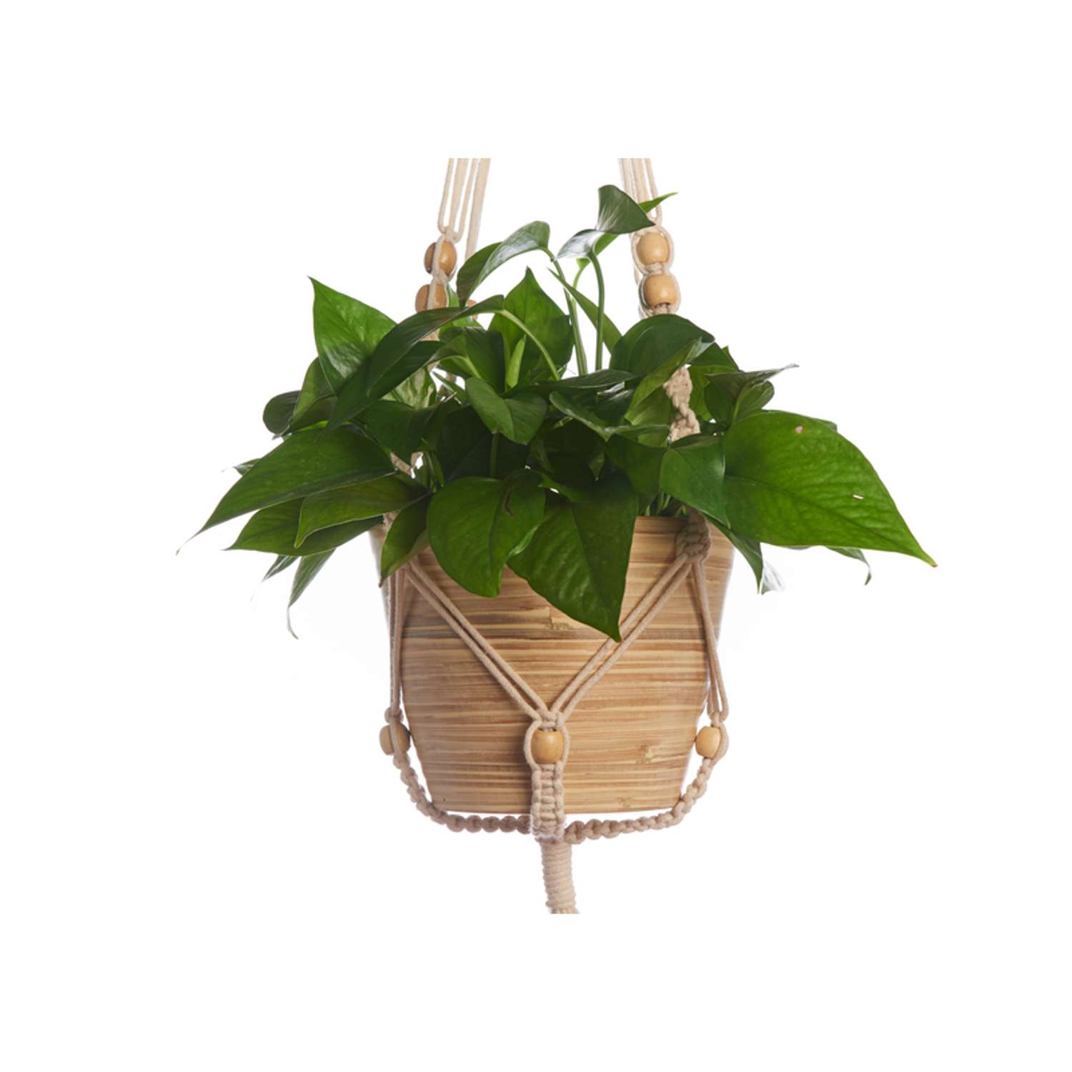  Primitive Planters White Cotton 42 In. H Beaded Plant Hanger 1 Pk