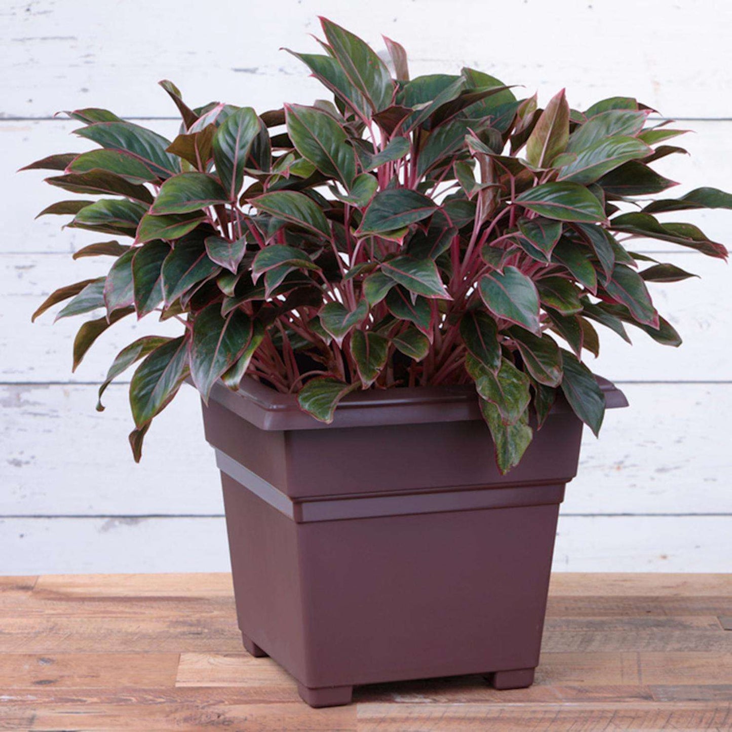  Novelty 15 In. H X 18 In. W X 18 In. D Plastic Countryside Tub Patio Planter Brown