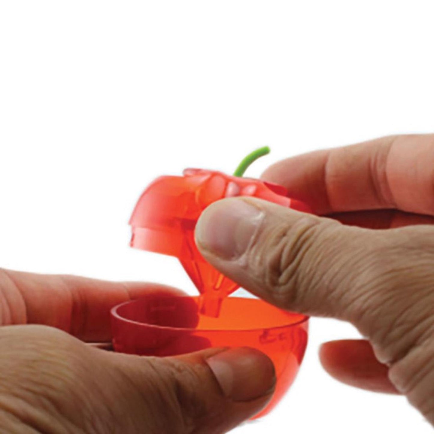  Raid PIC Fruit Fly Trap 2 Pk