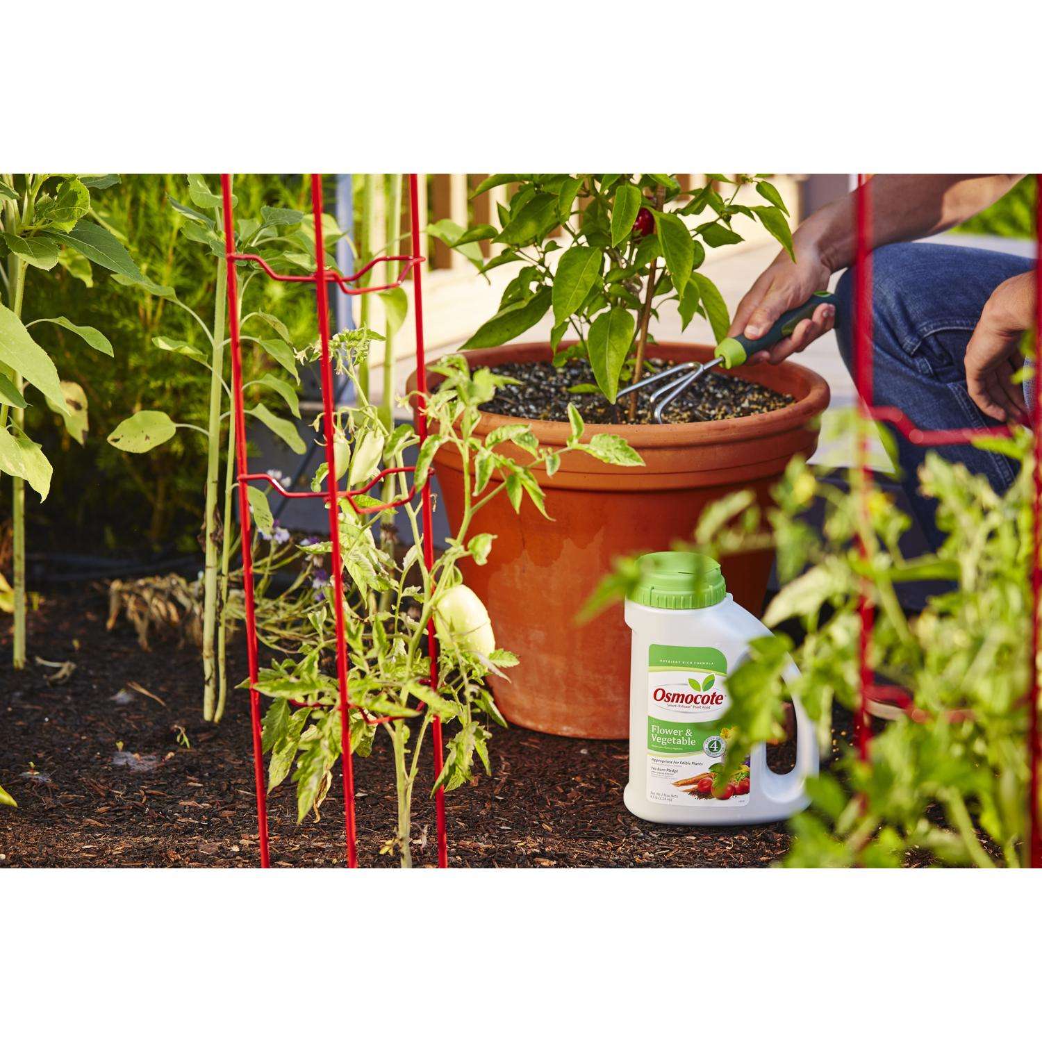  Osmocote Smart-Release Flower & Vegetable Granules Plant Food 4.5 Lb