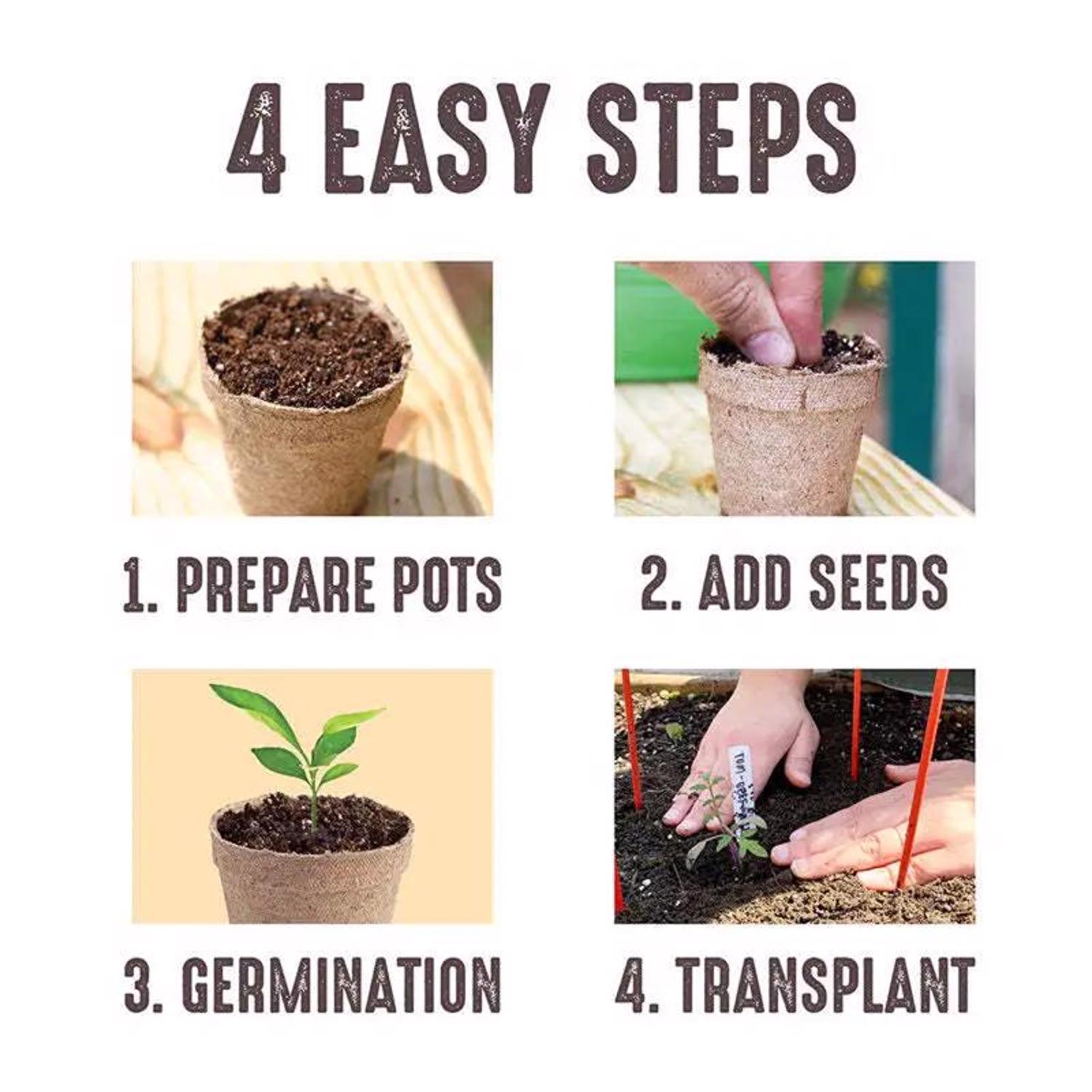  Jiffy 1 Cells 4 In. H X 4 In. W Seed Starting Peat Pot 6 Pk