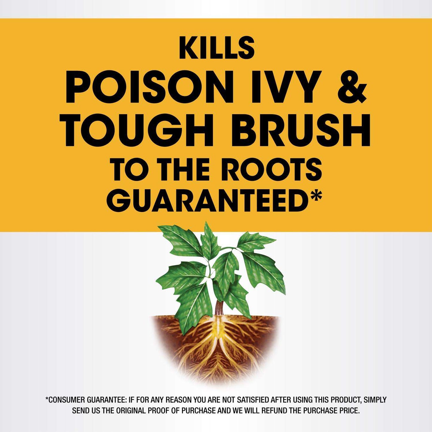  Roundup Poison Ivy Killer Concentrate 32 Oz