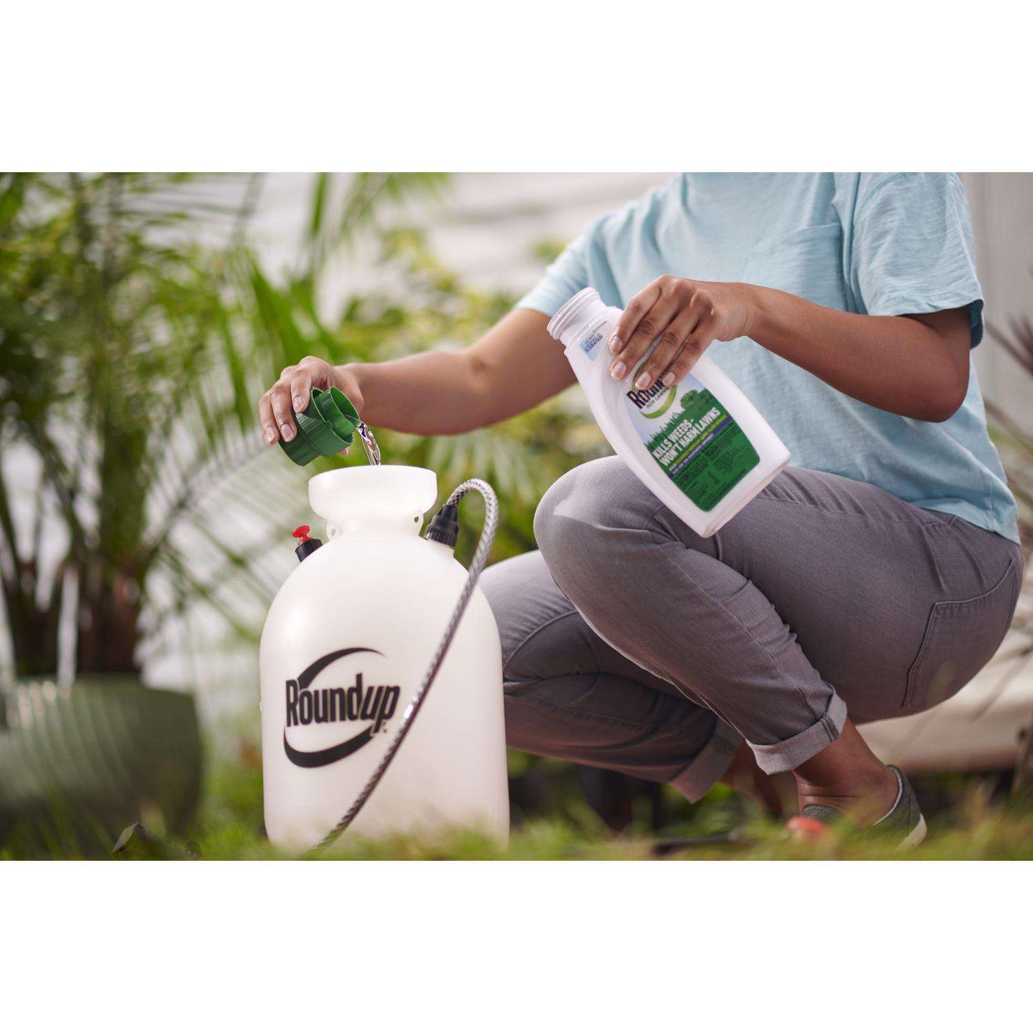  Roundup For Lawns5 Weed Killer Concentrate 32 Oz