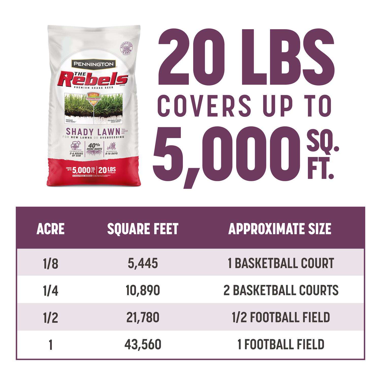  Pennington The Rebels Tall Fescue Grass Partial Shade/Sun Grass Seed 20 Lb