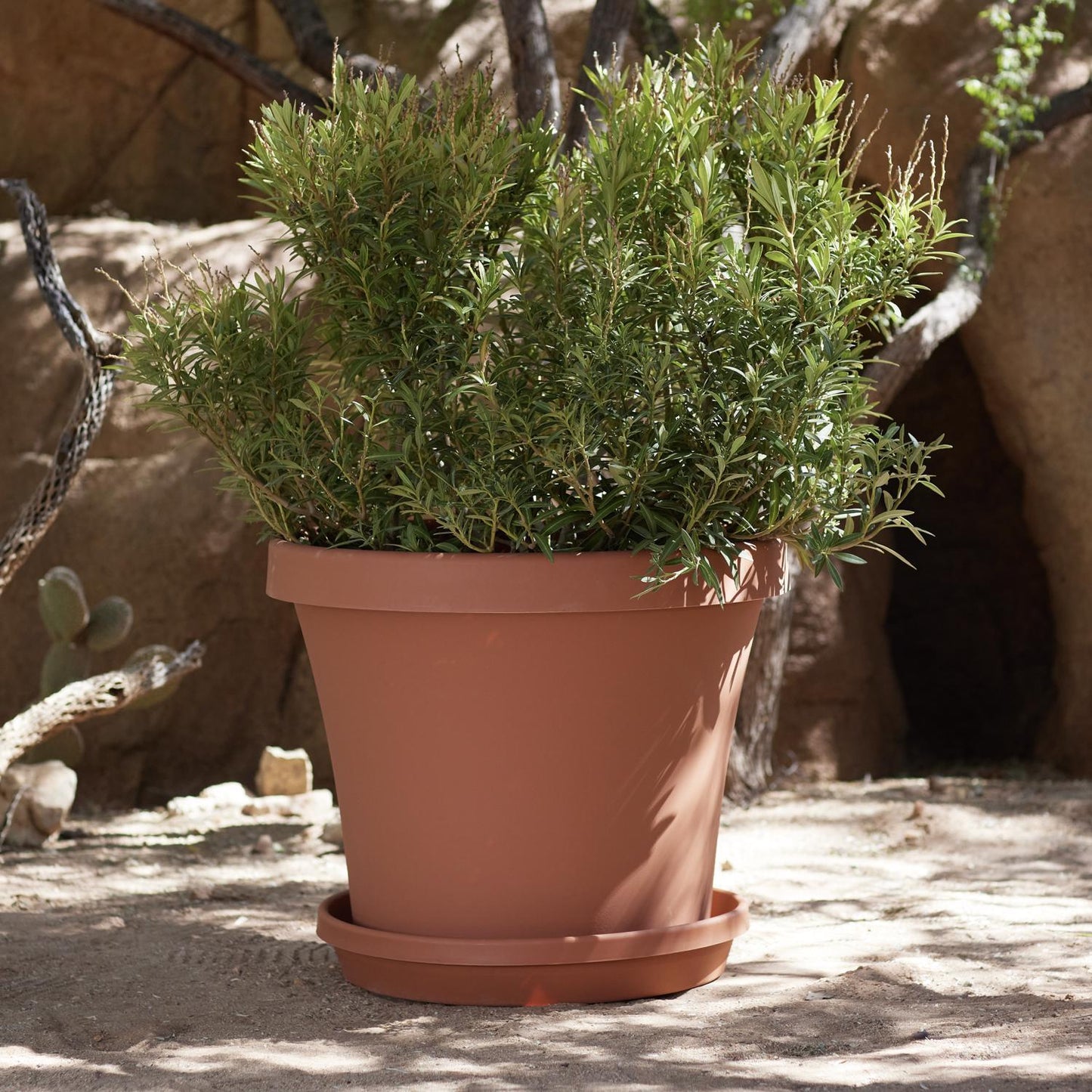  Bloem Terratray 2.7 In. H X 20 In. Dia. Resin Traditional Tray Terracotta Clay