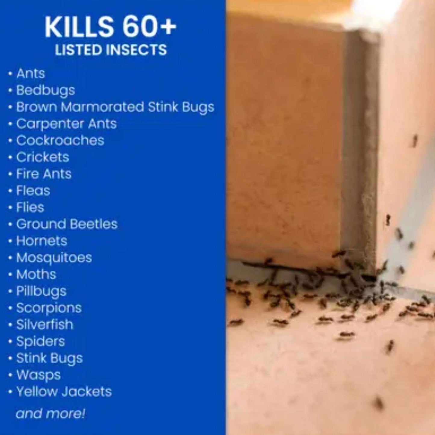  BioAdvanced Home Pest Control Insect Killer Liquid 1 Gal