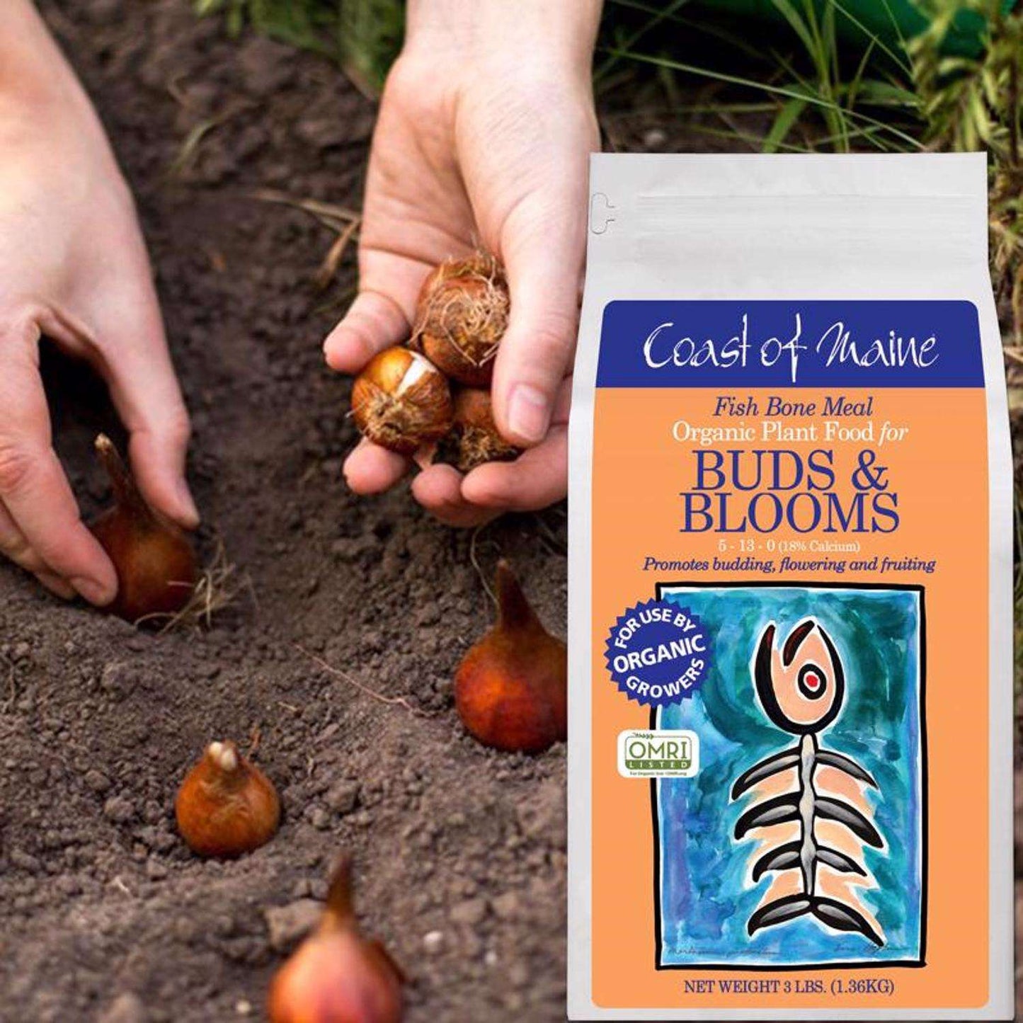  Coast Of Maine Buds & Blooms Organic Granules All Purpose Plant Food 3 Lb
