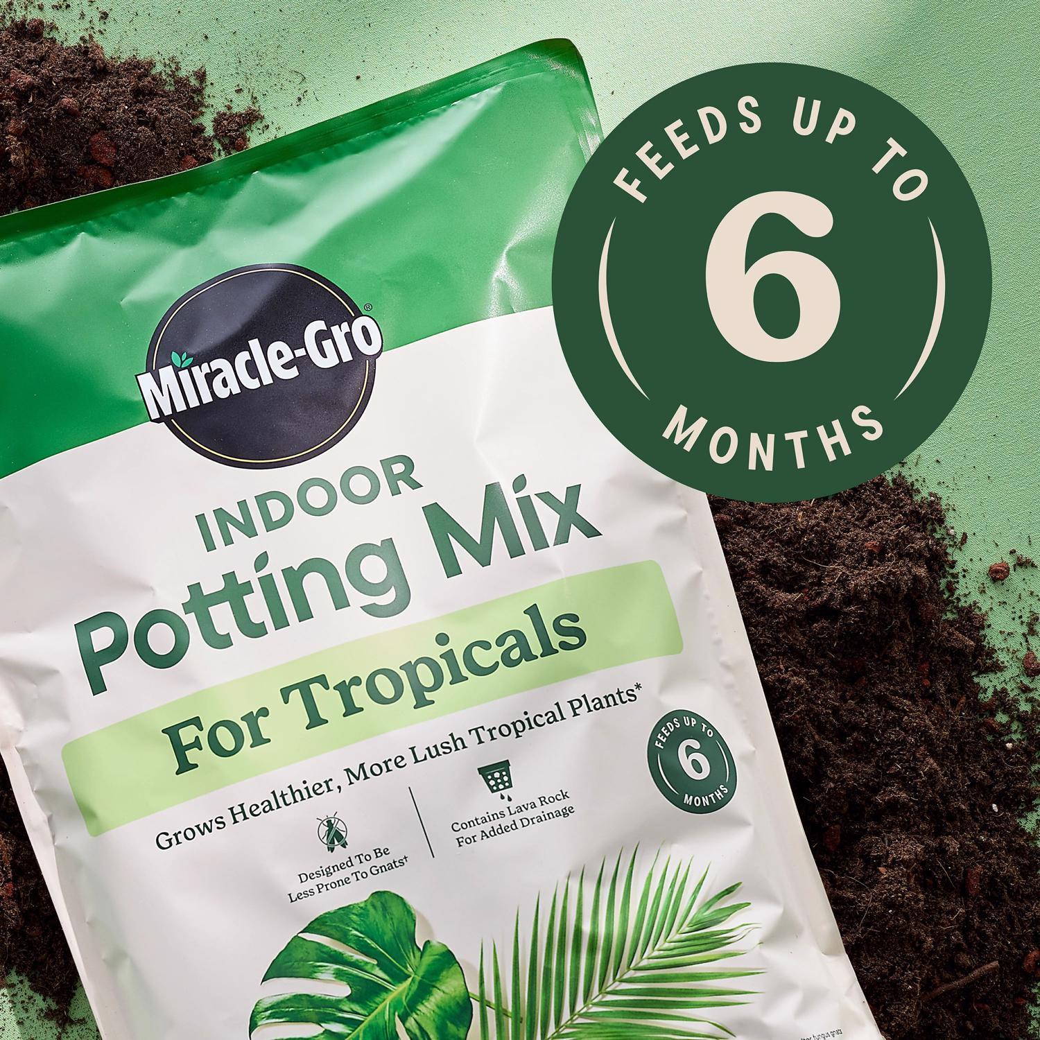  Miracle-Gro Tropical Cacti, Citrus And Palm Potting Mix 6 Qt