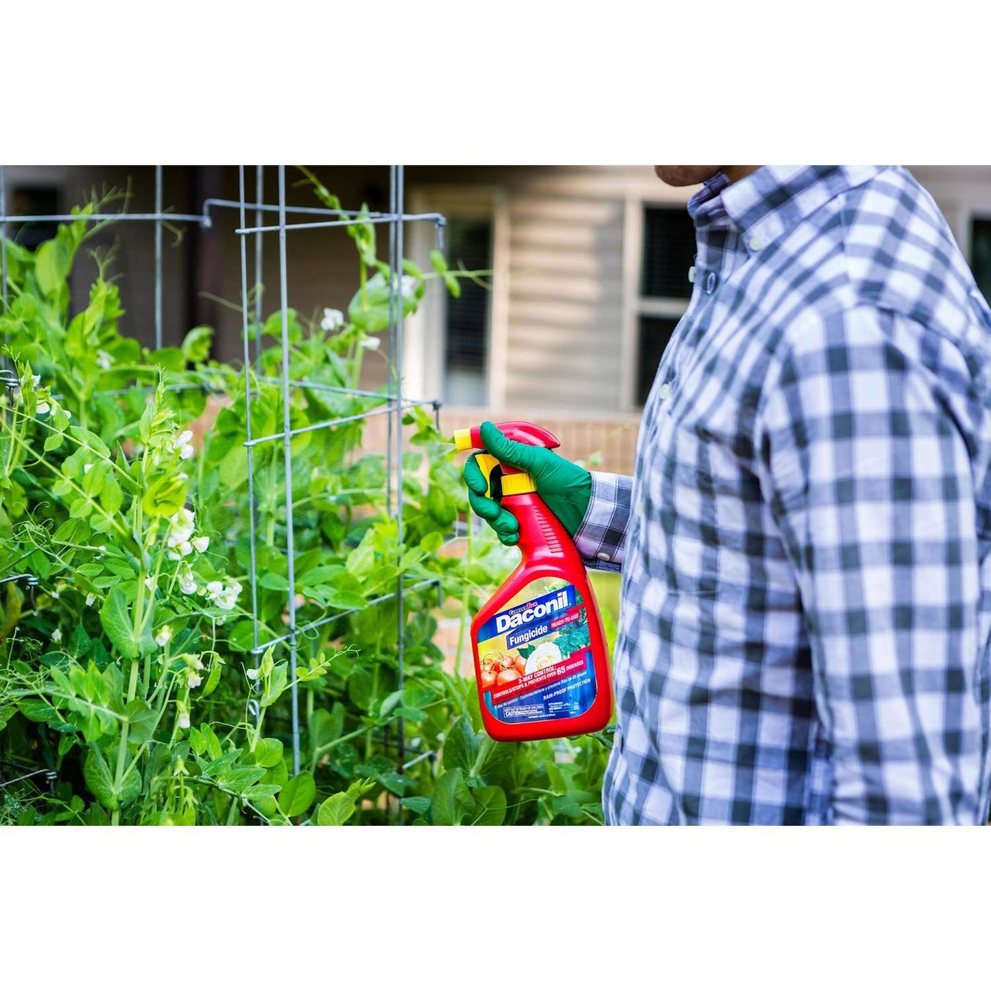  GardenTech Daconil Liquid Fungicide 32 Oz
