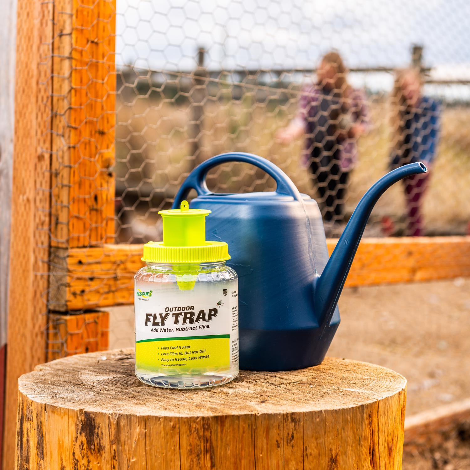  RESCUE! Fly Trap 1 Pk