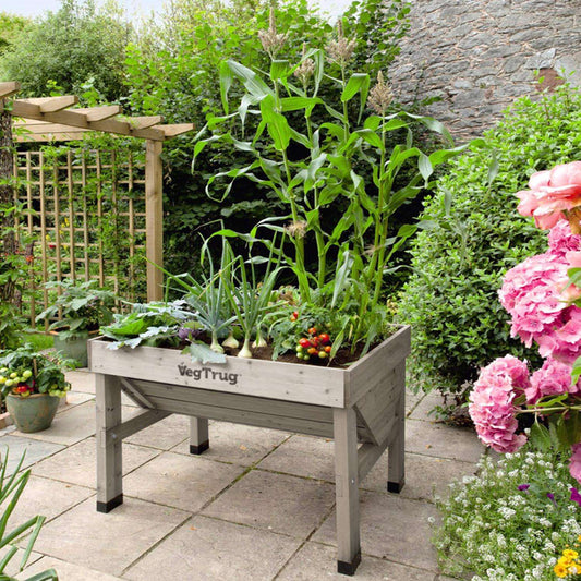  VegTrug VegTrug Classic 31.5 In. H X 40.7 In. W X 30 In. D Wood Planter Gray
