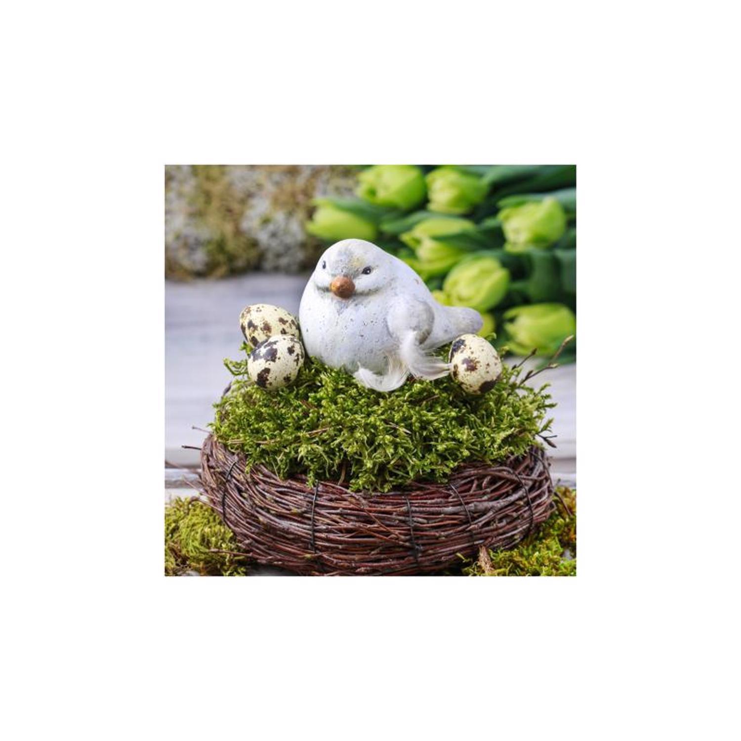  Mosser Lee Organic Green Sheet Moss 325 Sq In