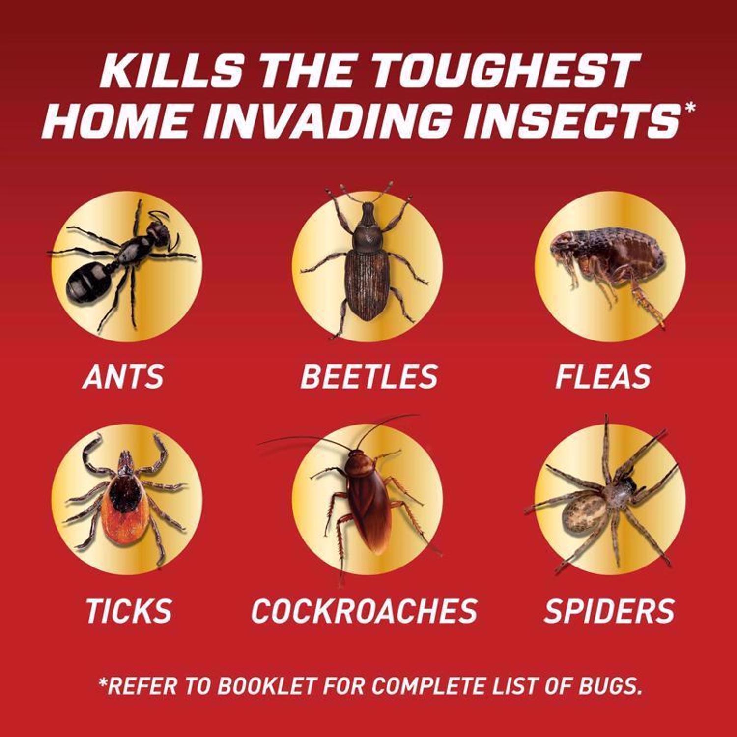  Ortho Home Defense Insect Killer Liquid 1 Gal