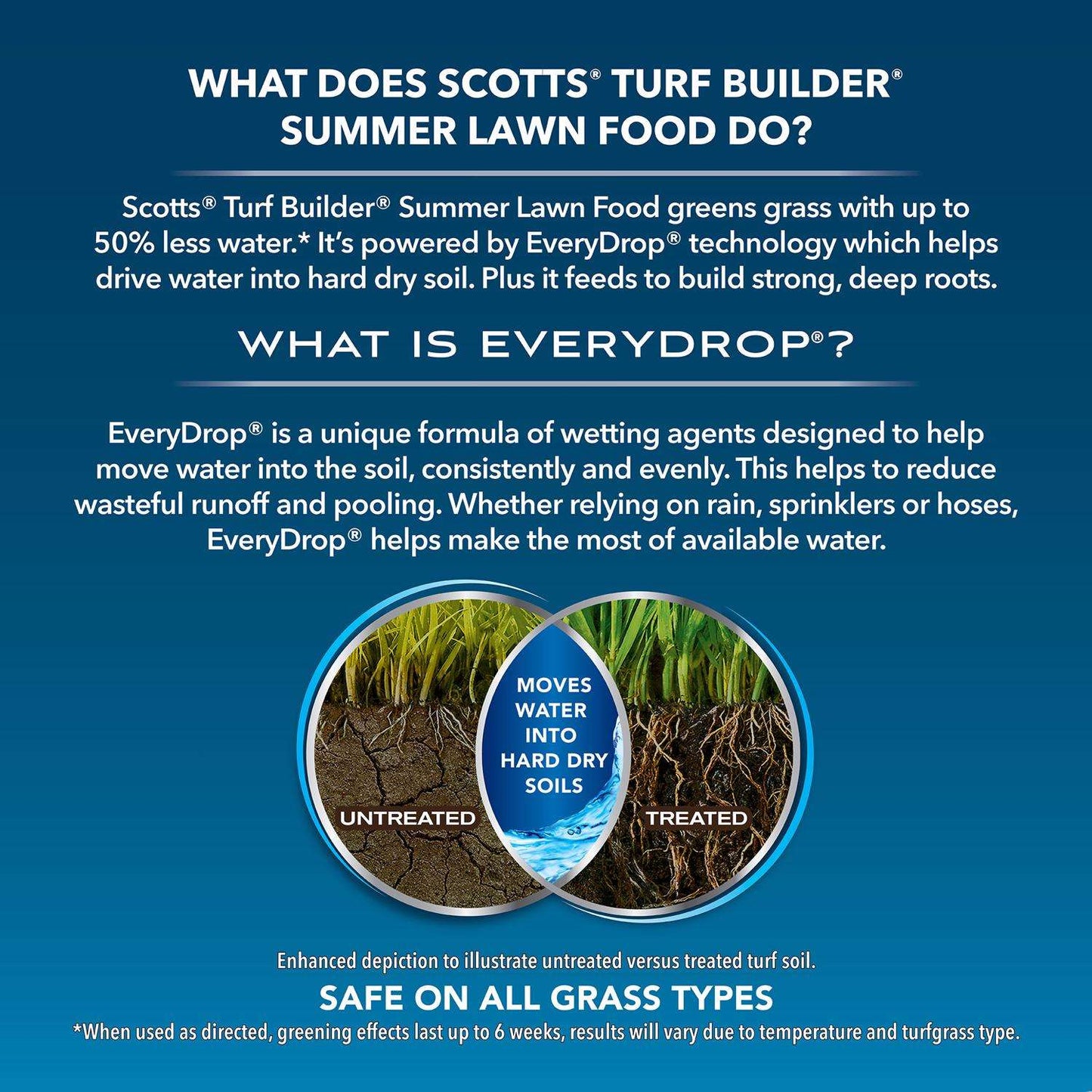  Scotts Turf Builder Summer Lawn Food For All Grasses 4000 Sq Ft