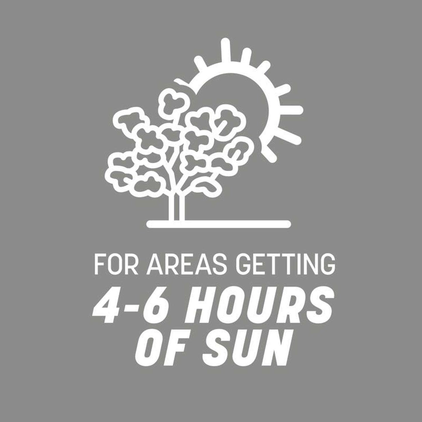  Pennington Contractors Mix Sun Or Shade Grass Seed 7 Lb