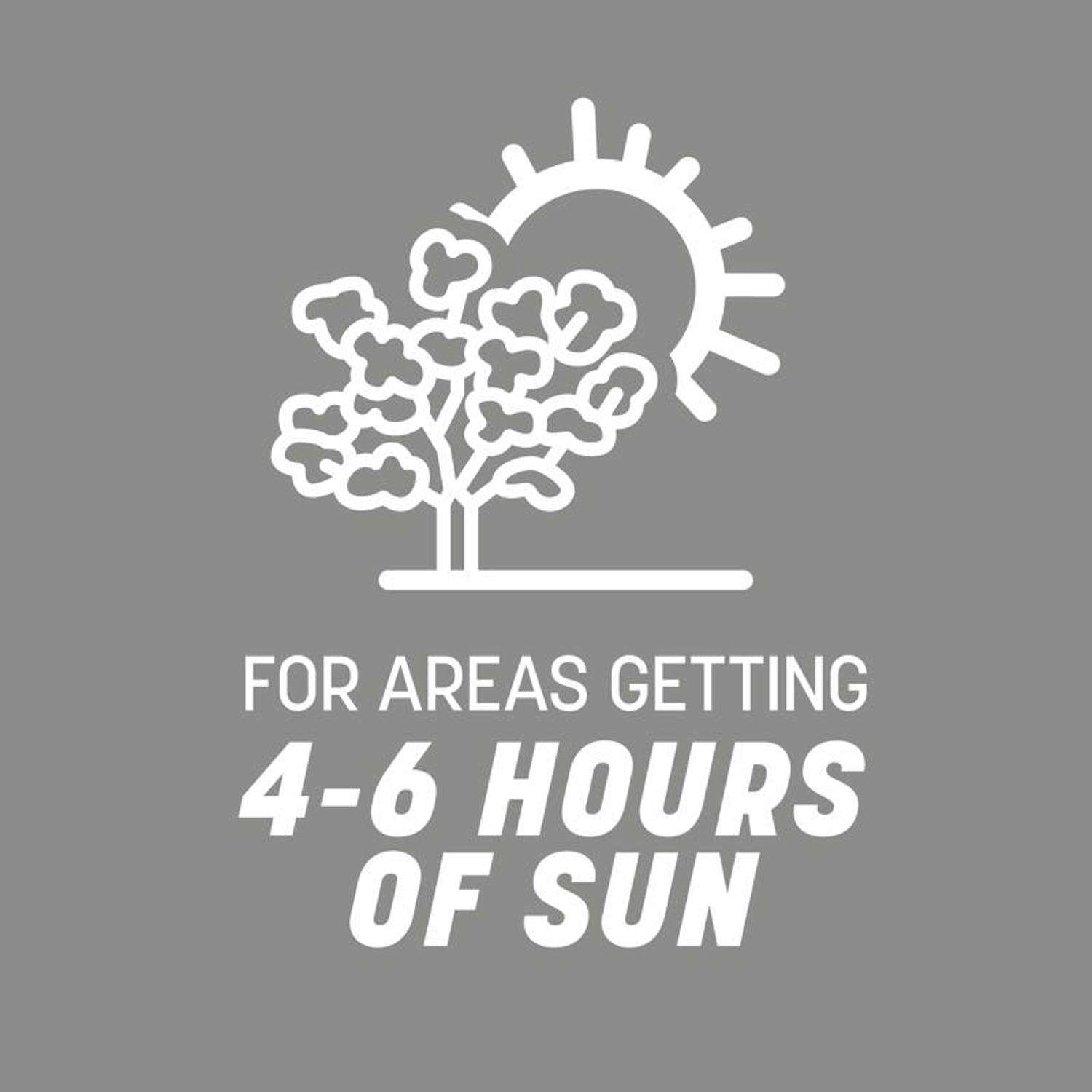  Pennington Contractors Mix Sun Or Shade Grass Seed 7 Lb