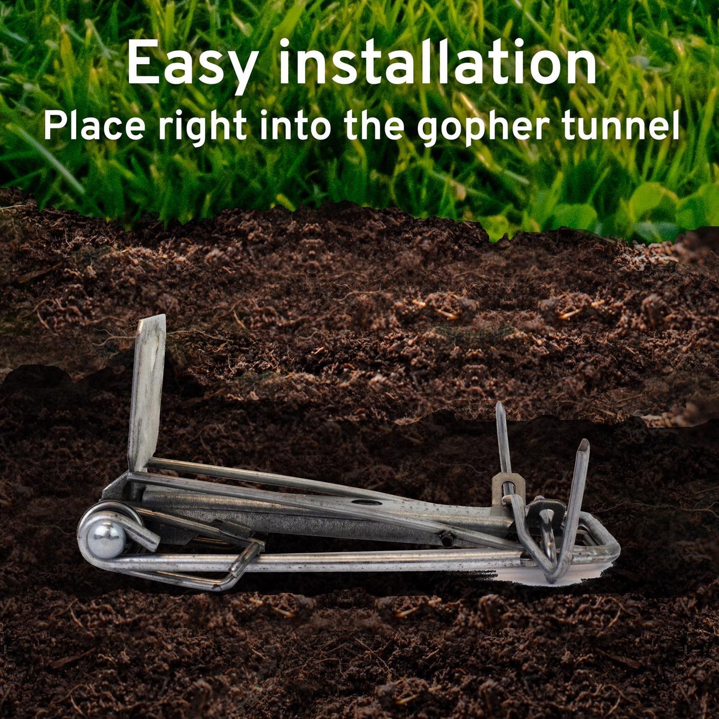  Victor Medium Pincher Animal Trap For Gophers 1 Pk