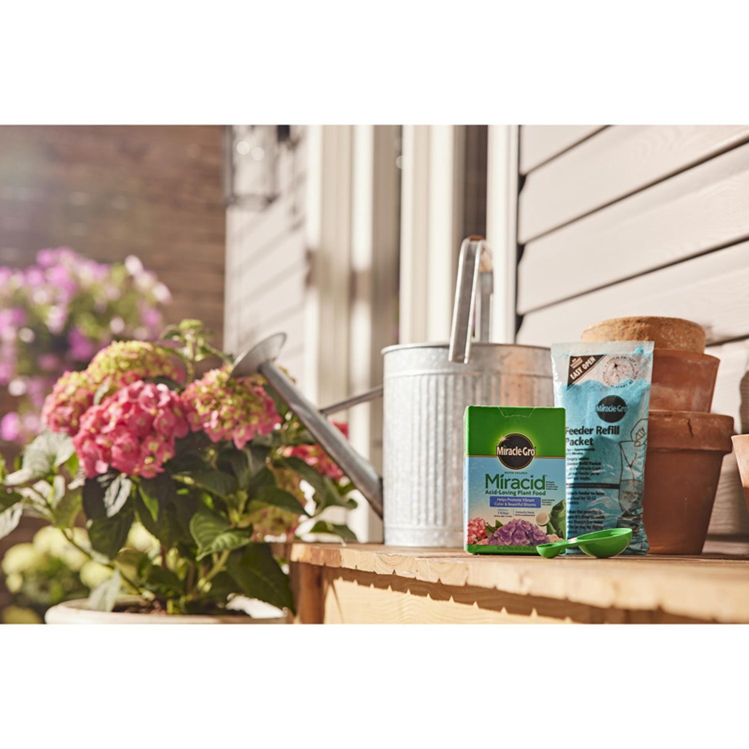  Miracle-Gro Miracid Powder Plant Food 1 Lb