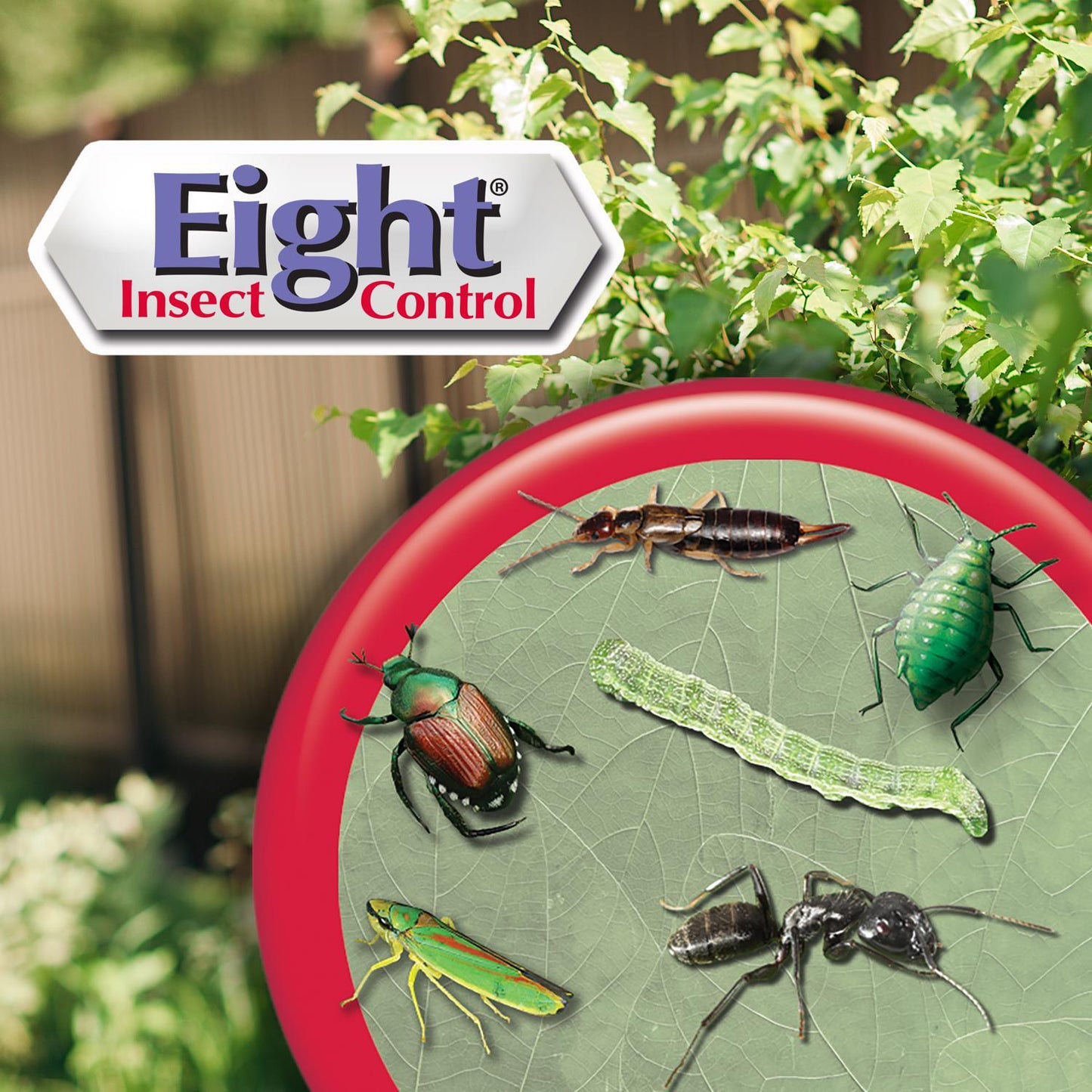  Bonide Eight Yard & Garden Insect Killer Liquid 32 Oz