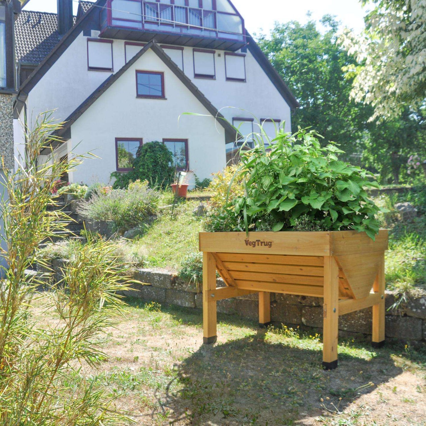  VegTrug VegTrug Classic 31.5 In. H X 40.7 In. W X 30 In. D Wood VegTrug Classic Planter Natural