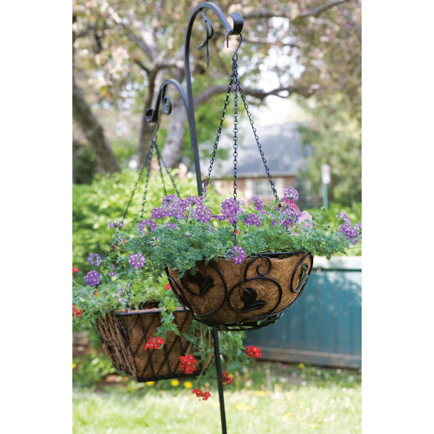  Panacea Black Steel 84 In. H Double Crook And Shepherd Leaf Plant Hook 1 Pk