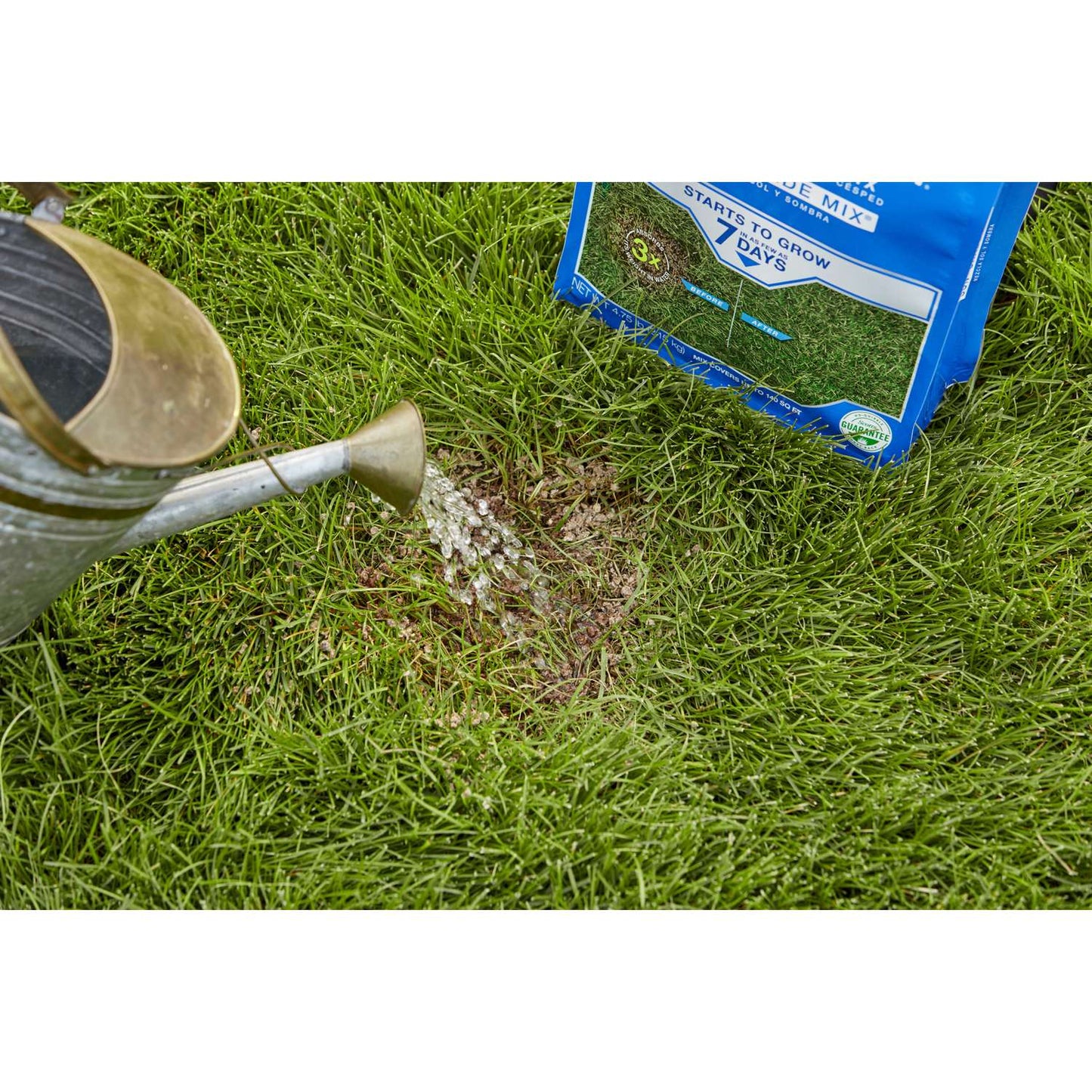  Scotts PatchMaster Mixed Sun Or Shade Grass Spot Repair Seed 4.75 Lb