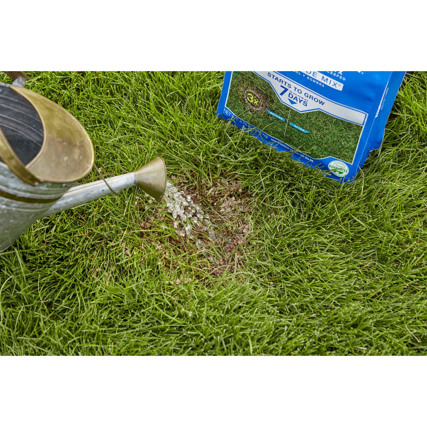 Scotts PatchMaster Mixed Sun Or Shade Grass Spot Repair Seed 4.75 Lb