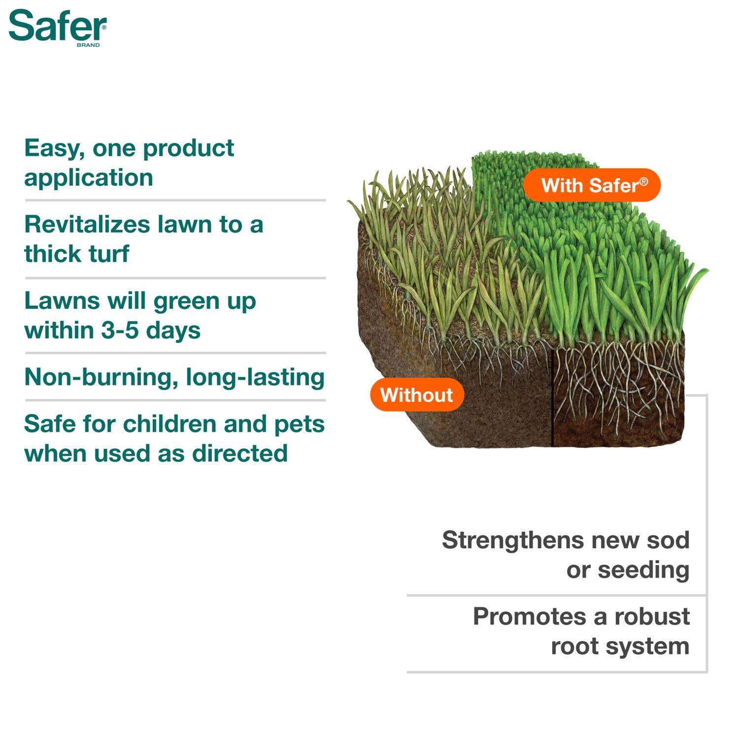  Safer Brand Lawn Restore All-Purpose Lawn Fertilizer For All Grasses 5000 Sq Ft
