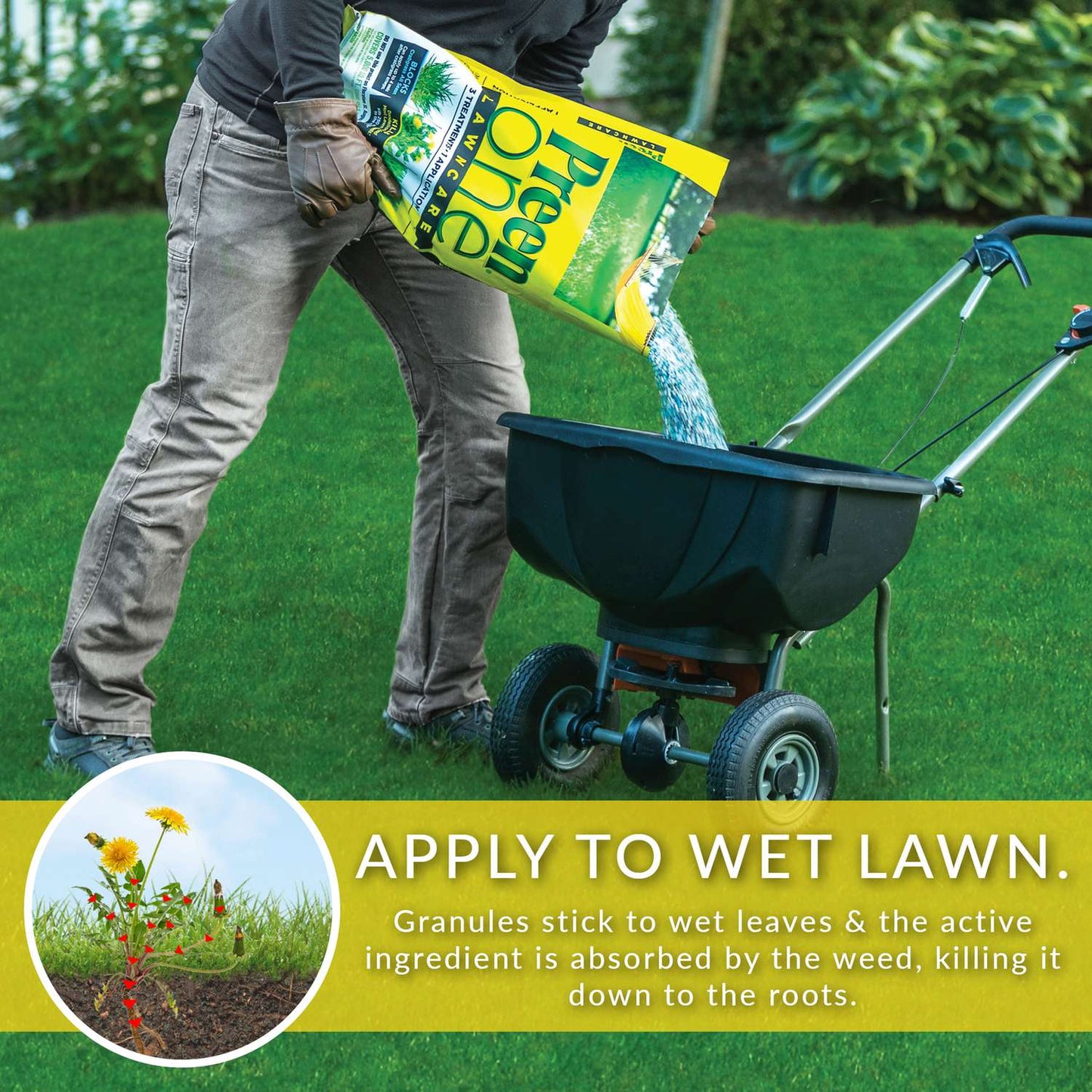  Preen One Lawncare Weed & Feed Lawn Fertilizer For All Grasses 5000 Sq Ft